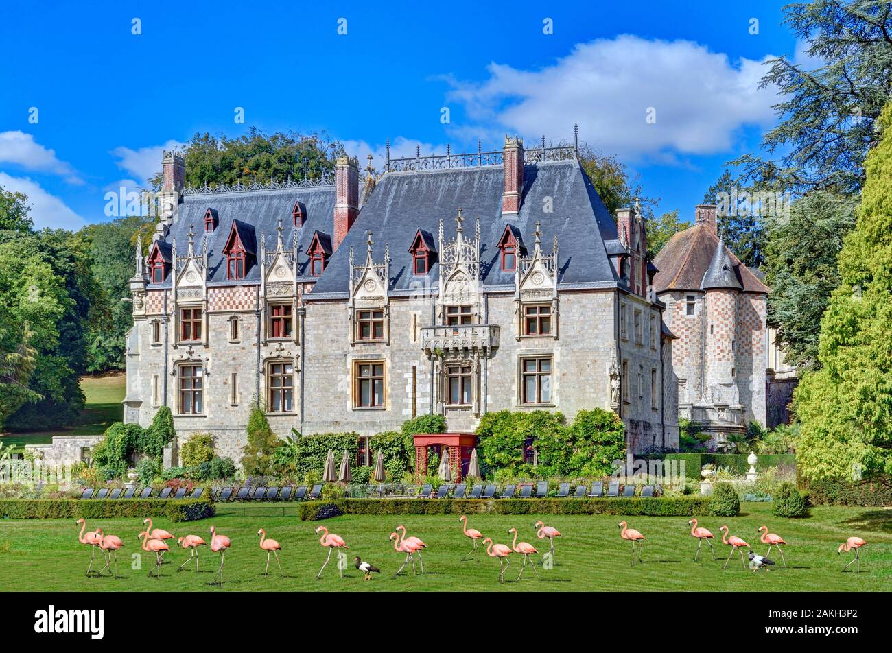 France, Seine-Maritime, Clères, le château et le parc zoologique où flamants roses (Phoenicopterus chilensis) vivent Banque D'Images