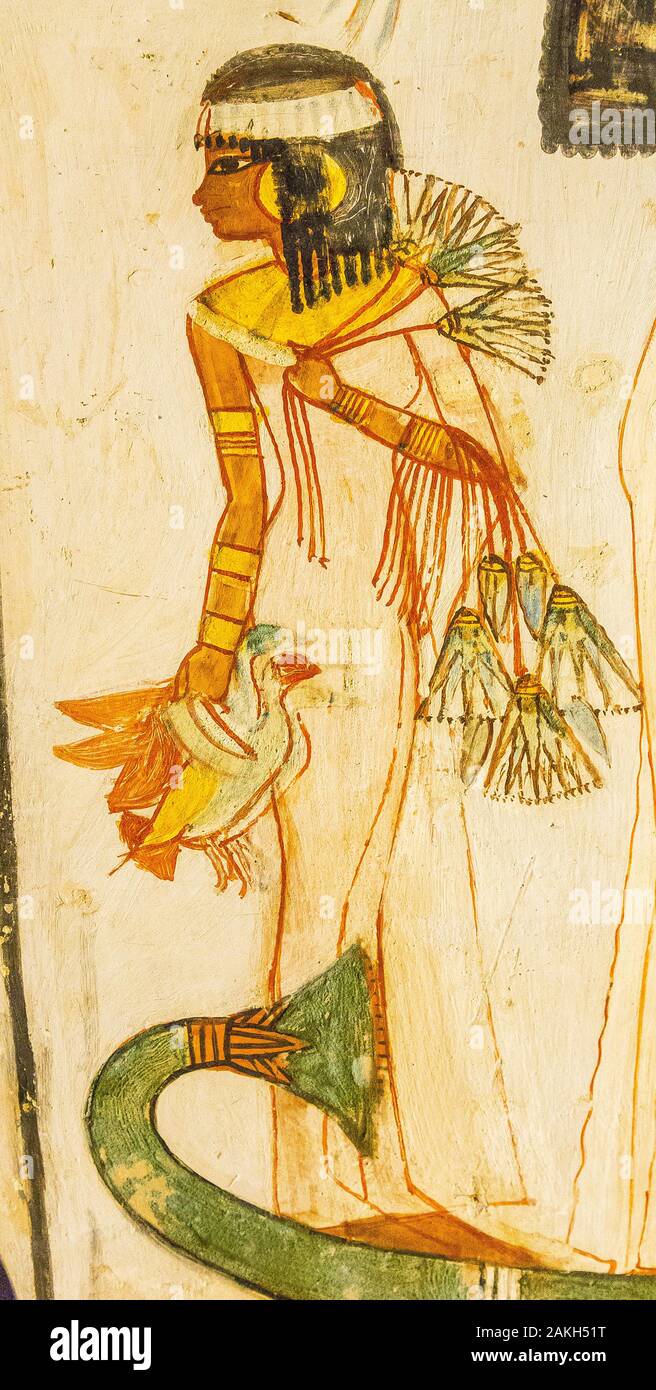 Luxor en Egypte, Vallée des Nobles, tombe de Menna. Détail de la scène "chasse dans les marais" : une beauté beaucoup trop arty pour ce type de sport ! Banque D'Images