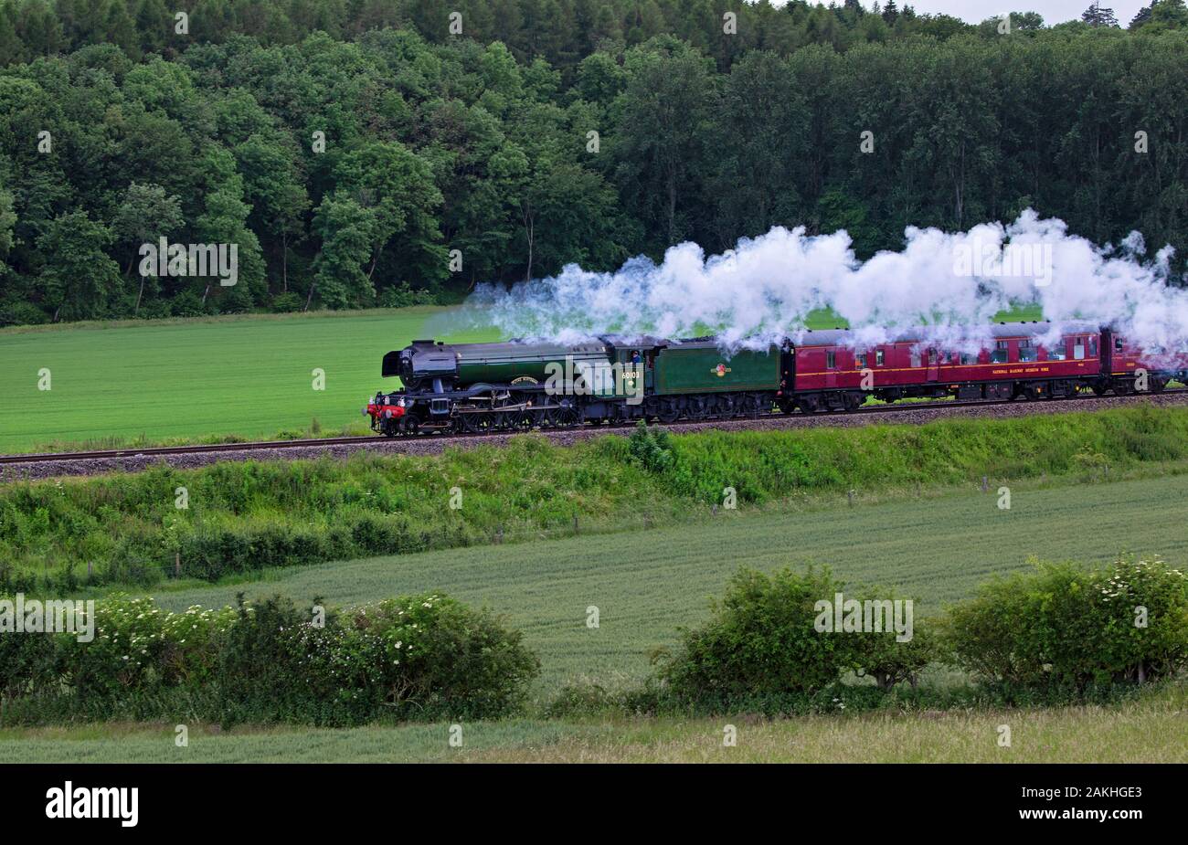 Train à vapeur de Scotsman volant à travers cotswolds, Angleterre Banque D'Images