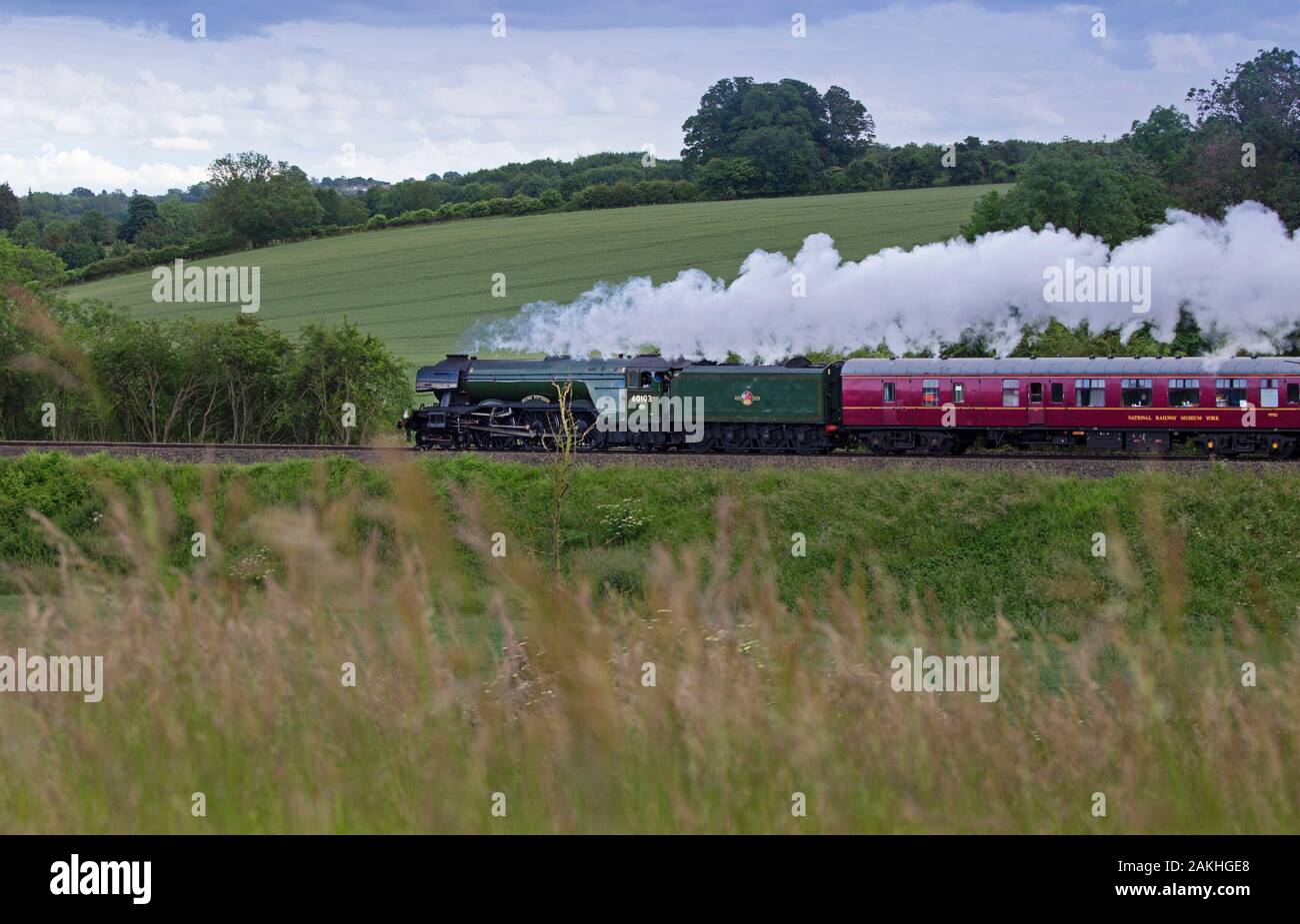 Train à vapeur de Scotsman volant à travers cotswolds, Angleterre Banque D'Images
