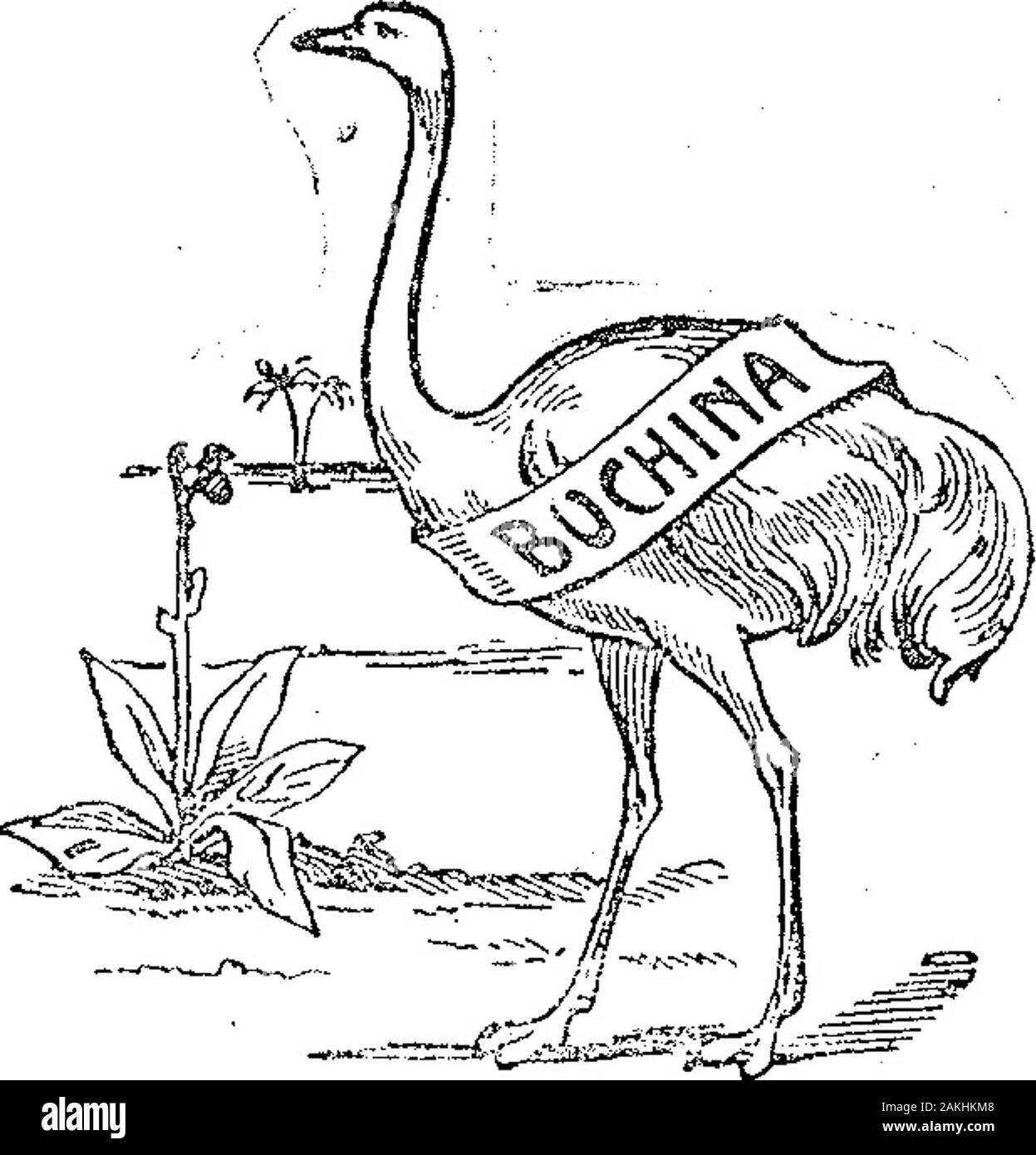 Boletín Oficial de la República Argentina1915 1ra sección . 22 de mayo. Acta Na -18.435 10 de mayo de 1915. - París Medici-ne Cornpany. - Uir remedio para lagrippe y para resfriados, de la cla- ,Hr v-22 mai.12 de mayo de 1915 48,428. - Schuster Ehr-licli.y Cía - Substancias vegetales, animales y minerales, en estado naturalo preparadas para uso en la fabri-tura, y uso doméstico y edificación- quelijo están incluidas en otras clases, dela clase o. v-22 mavo. Pas de l'Acta 48 130 12 de mayo de 1915. - Schuster Ehr-licli y Cía. - Confecciones, calzados, sastrería,sombrerería, pasamanería, bo-netería, modas, punt Banque D'Images