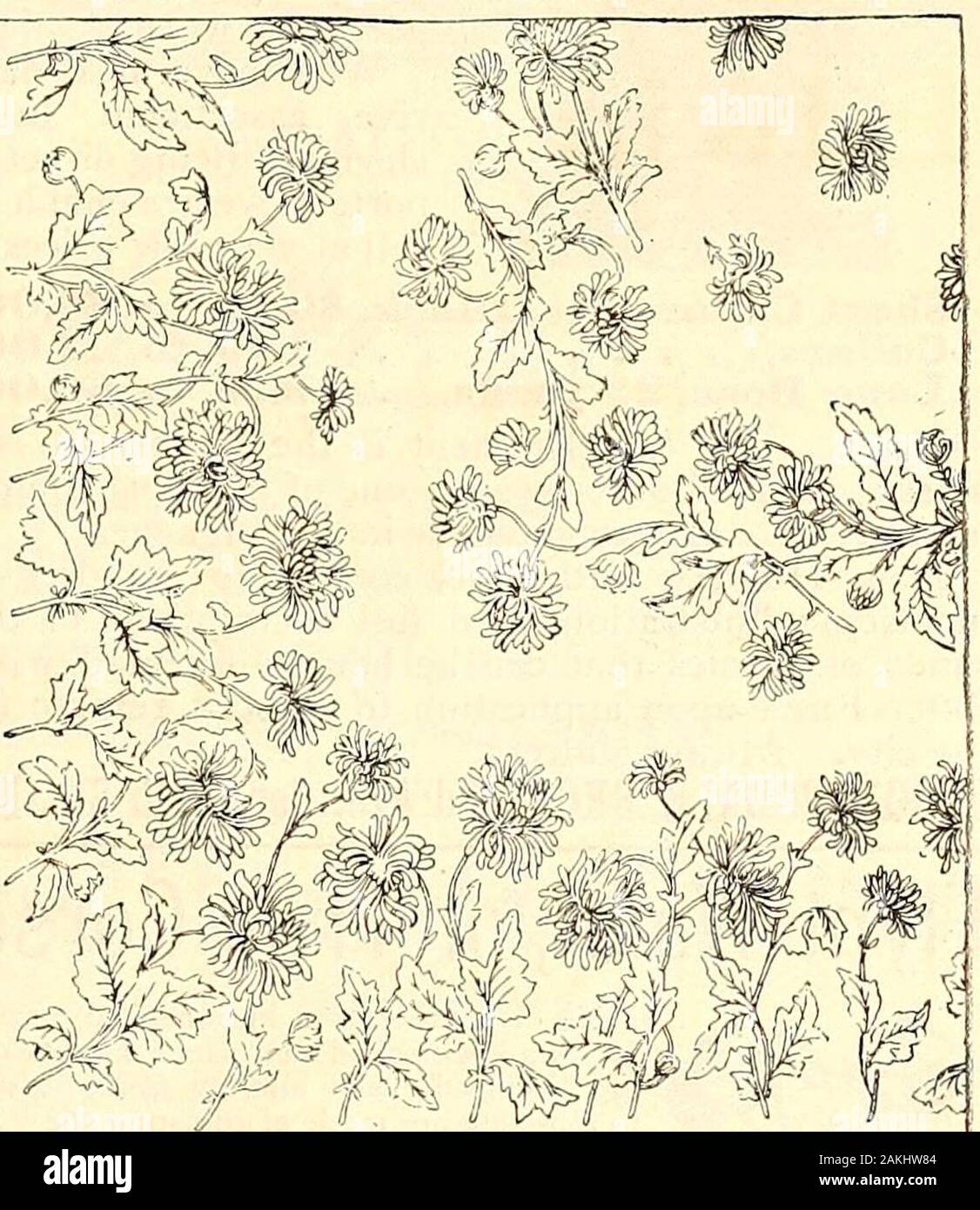 L'illustre magazine mensuel . JAMES McCUTCHEON & CO. montrent au-dessus un croquis de leur nouvelle conception du chrysanthème en linge de table ; c'est sur l'excellente qualité de lit damassé satiné. Liste des prix sur demande. Des tissus peuvent être fait dans toutes les tailles de 2 à 6 m. de long. Pression à froid en $ x ^ } },( x£ & V& x 7A taille. Le linge de maison magasin, 64 West 23d St., New York. B. PRIESTLEY & COS TISSUS NOIR LÉGER POUR LE PRINTEMPS ET L'été. Warp soie Clairette et Crystallette ; la soie et la laine, mousseline mousseline, carmélite, Grenadine et Challis ; et c'est le voile, à la fois religieuses et toute la Laine Soie Warp. Comme tous les Banque D'Images