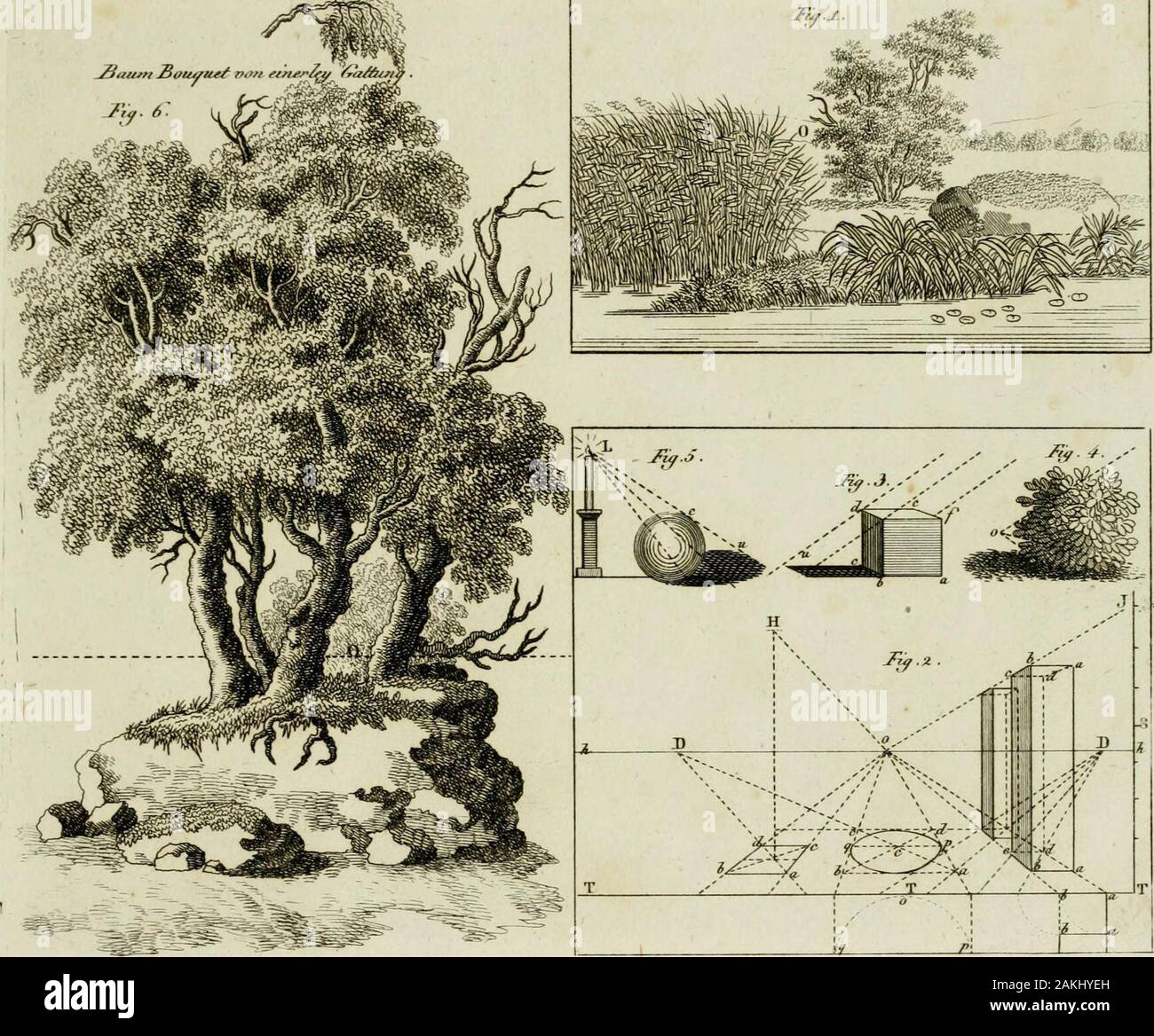 Theoretisch-praktischer Unterricht im Landschaftszeichnen Naturzeichnen nebst einer Anleitung zum nach Erfahrungen und Grundsätzen berühmter Künstler : mit 11 Kupfertafeln . Zrpe/^^ieia fW fi* ^tf*Zf , Taf.C. ^^^ui auyn JSou vt"j'ettur ^^^ ?/- ^.j'^^^.. TsSrvi Banque D'Images