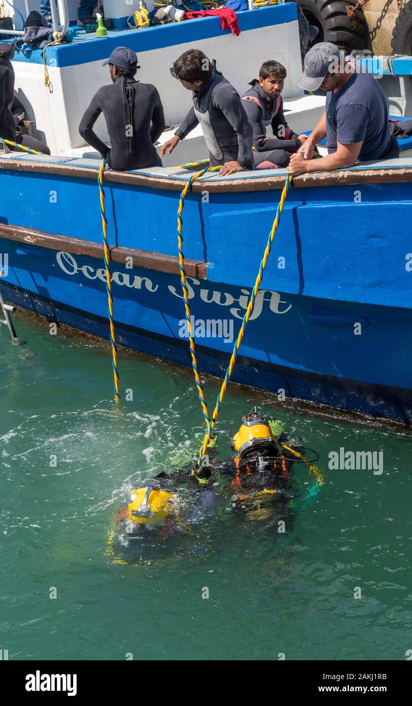 Hermanus, Western Cape, Afrique du Sud. Cours de formation de plongeurs professionnels, étudiants travaillant sous l'eau à partir d'un bateau en le nouveau port à Hermanus. Banque D'Images