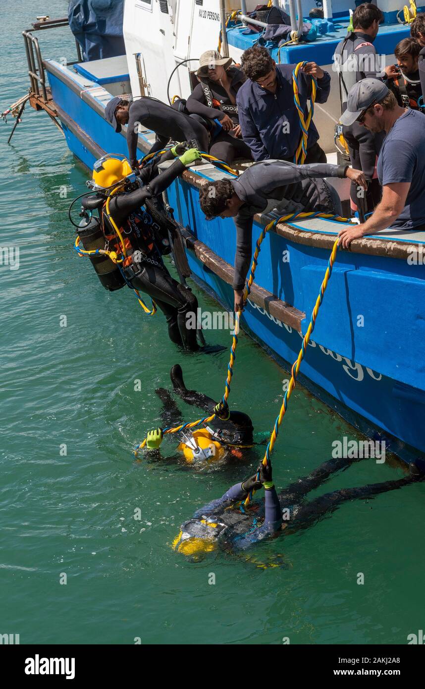 Hermanus, Western Cape, Afrique du Sud. Cours de formation de plongeurs professionnels, étudiants travaillant sous l'eau à partir d'un bateau en le nouveau port à Hermanus. Banque D'Images