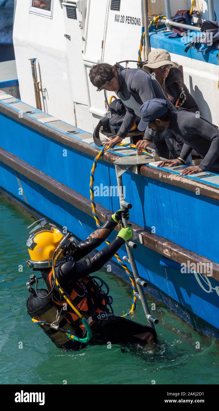 Hermanus, Western Cape, Afrique du Sud. Cours de formation de plongeurs professionnels, étudiant plongeur au bateau de grimper sur le nouveau port à Hermanus. Banque D'Images