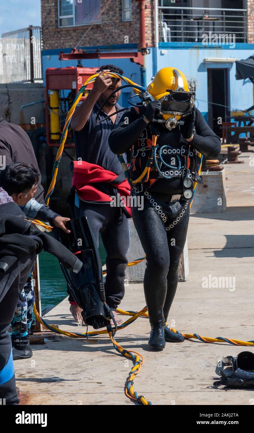 Hermanus, dans l'ouest de l'APE, Afrique du Sud. Décembre 2019. Cours de formation de plongeurs professionnels, plongeur émergeant du port de le nouveau port à Hermanus. Banque D'Images