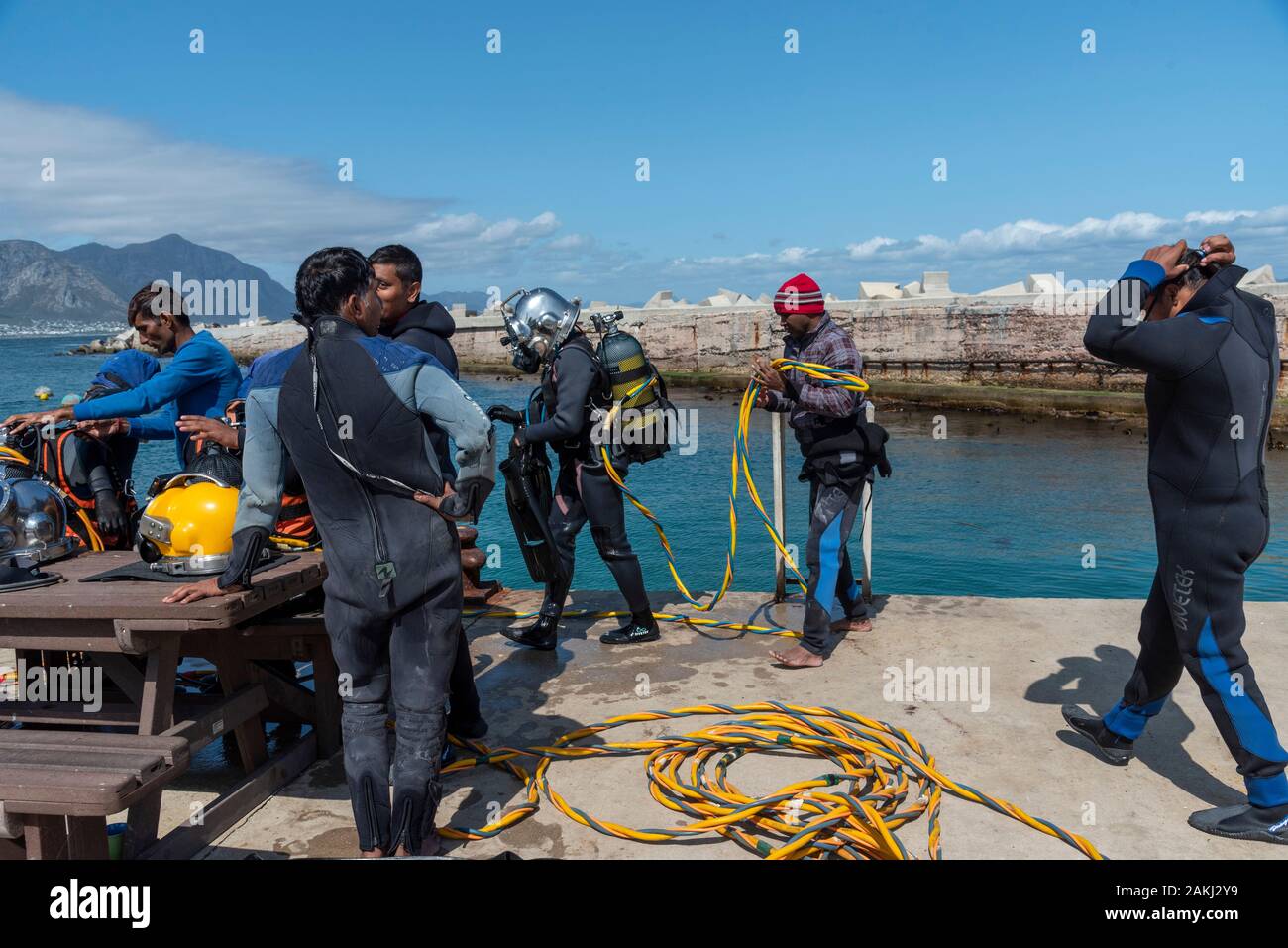 Hermanus, Western Cape, Afrique du Sud. Décembre 2019. Cours de formation de plongeurs professionnels, étudiants travaillant à la nouvelle administration portuaire à Hermanus. Banque D'Images