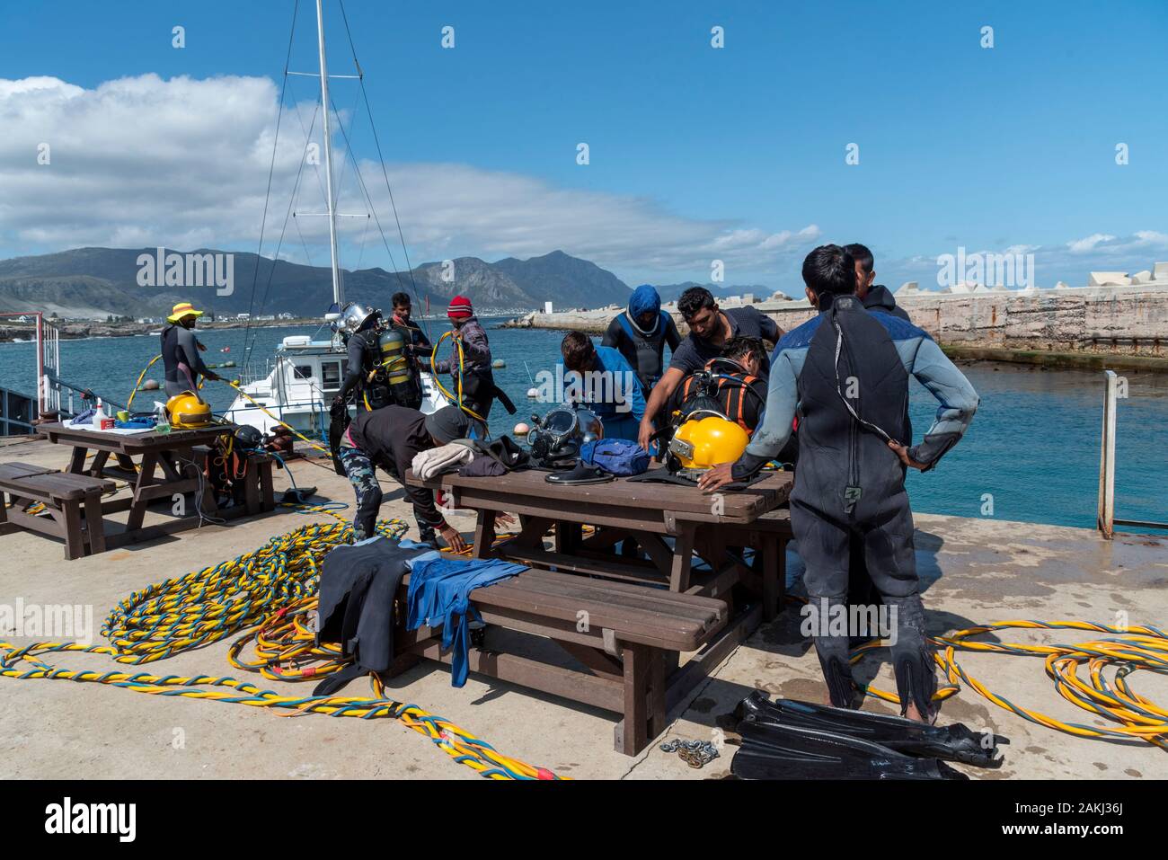 Hermanus, Western Cape, Afrique du Sud. Décembre 2019. Cours de formation de plongeurs professionnels, étudiants travaillant à la nouvelle administration portuaire à Hermanus. Banque D'Images