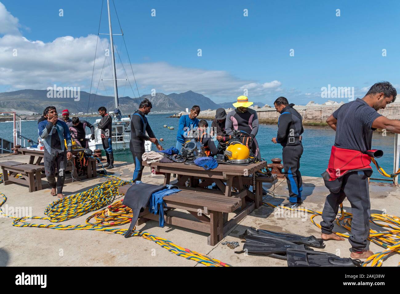 Hermanus, Western Cape, Afrique du Sud. Décembre 2019. Cours de formation de plongeurs professionnels, préparer les jeunes plongeurs étudiants avant d'aller à plonger. Banque D'Images