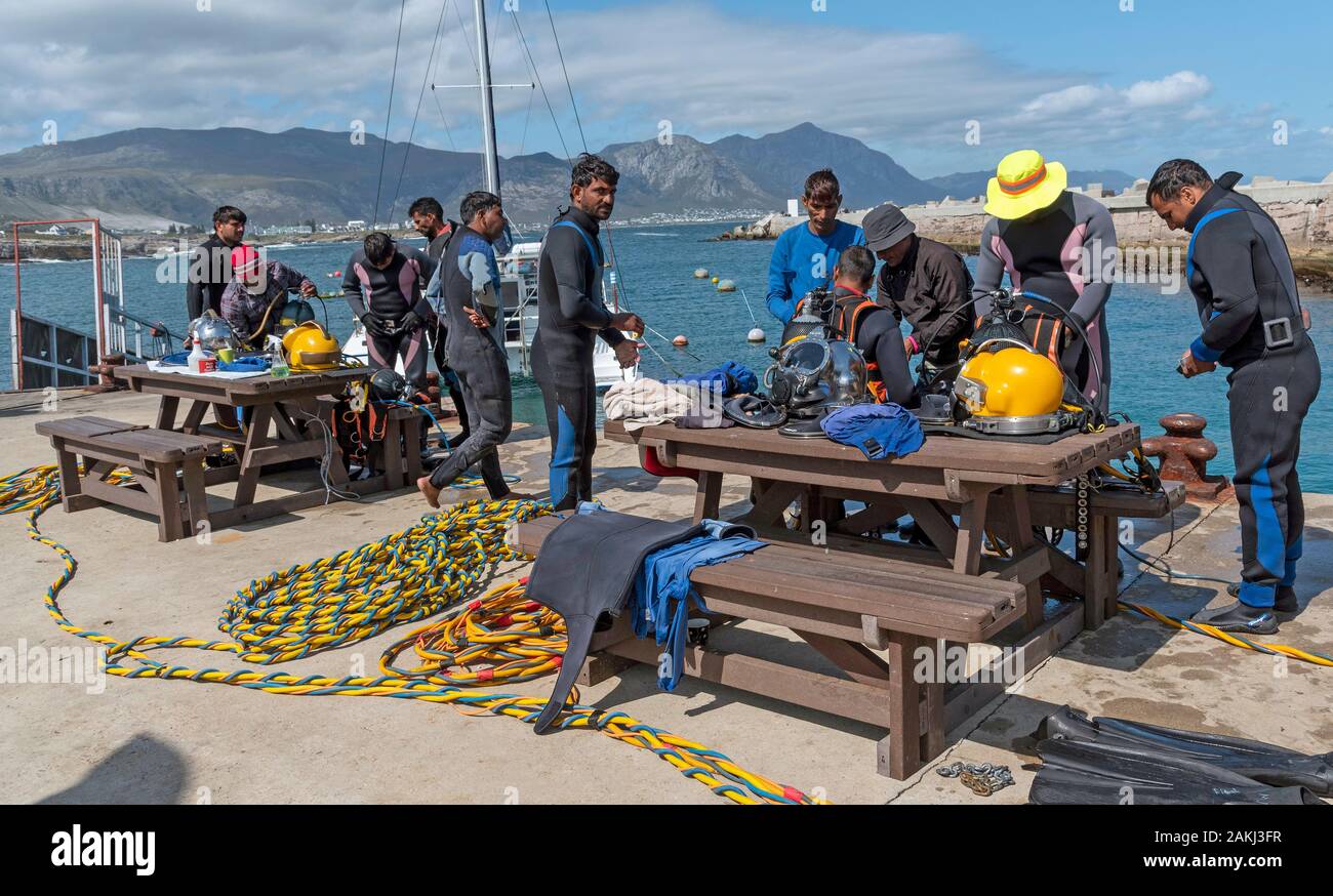 Hermanus, Western Cape, Afrique du Sud. Décembre 2019. Cours de formation de plongeurs professionnels, préparer les jeunes plongeurs étudiants avant d'aller à plonger. Banque D'Images