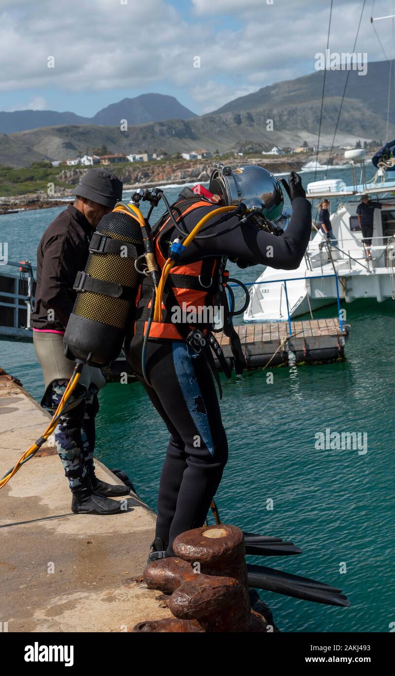 Hermanus, Western Cape, Afrique du Sud. Décembre 2019. Cours de formation de plongeurs professionnels. Plongeur étudiant saute dans la mer à Hermanus, Afrique du Sud Banque D'Images