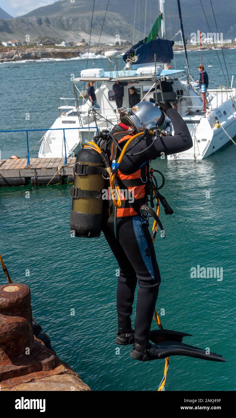 Hermanus, Western Cape, Afrique du Sud. Décembre 2019. Cours de formation de plongeurs professionnels. Plongeur étudiant saute dans la mer à Hermanus, Afrique du Sud Banque D'Images