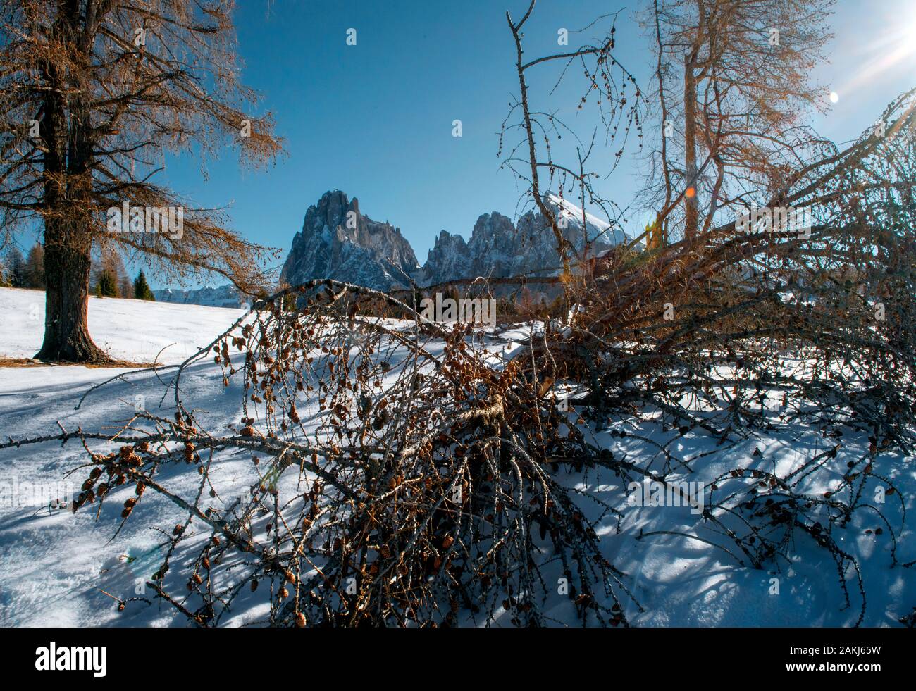 Belle dolomites en wintersnow frais Banque D'Images