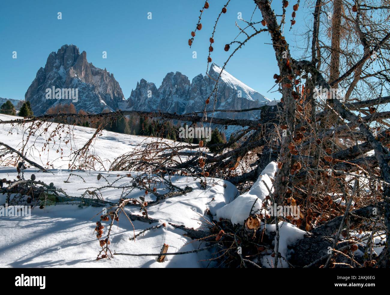 Belle dolomites en wintersnow frais Banque D'Images