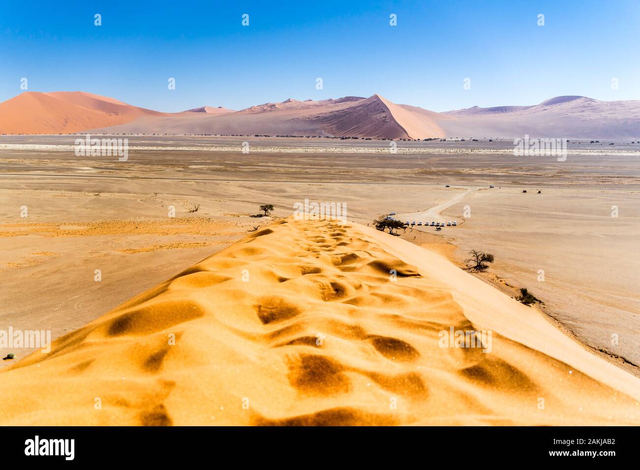 Vue depuis le haut d'une dune dorée Banque D'Images