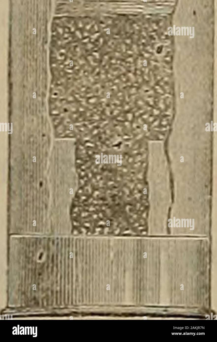 Source et sportsman .^Fba Sax m cisco, 3d août 1865, DE LA FUSION ET DE L'ENTRAÎNER.SELBY CO.- Messieurs : notre conviction, fondée sur l'expérience, c'est qu'theshells, chargé par le Cartridge-Loading,Machine Chamberlin sont bons à tous les égards, et nous ne pas utiliser d'autres dans le eldand à 6le piège tant que nous pouvons les obtenir. Nous allons perdre aucune occasion de recommander les coquilles d'amis,et espère que vous allez rencontrer le plus grand succès de votre nouvelle entreprise et précieux. Sincèrement vôtre. HENRY A. BASSFORD ERANE BASSFORD.J.. Banque D'Images