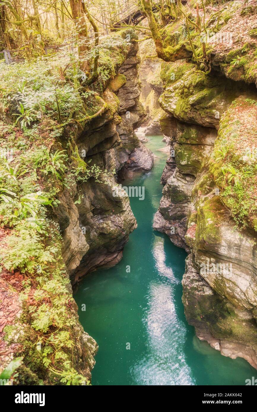 Canyon de Martvili en Géorgie. Beau canyon naturel sur la rivière dans le Caucase. La turquoise de l'eau claire d'une rivière de montagne qui coule entre des falaises Banque D'Images