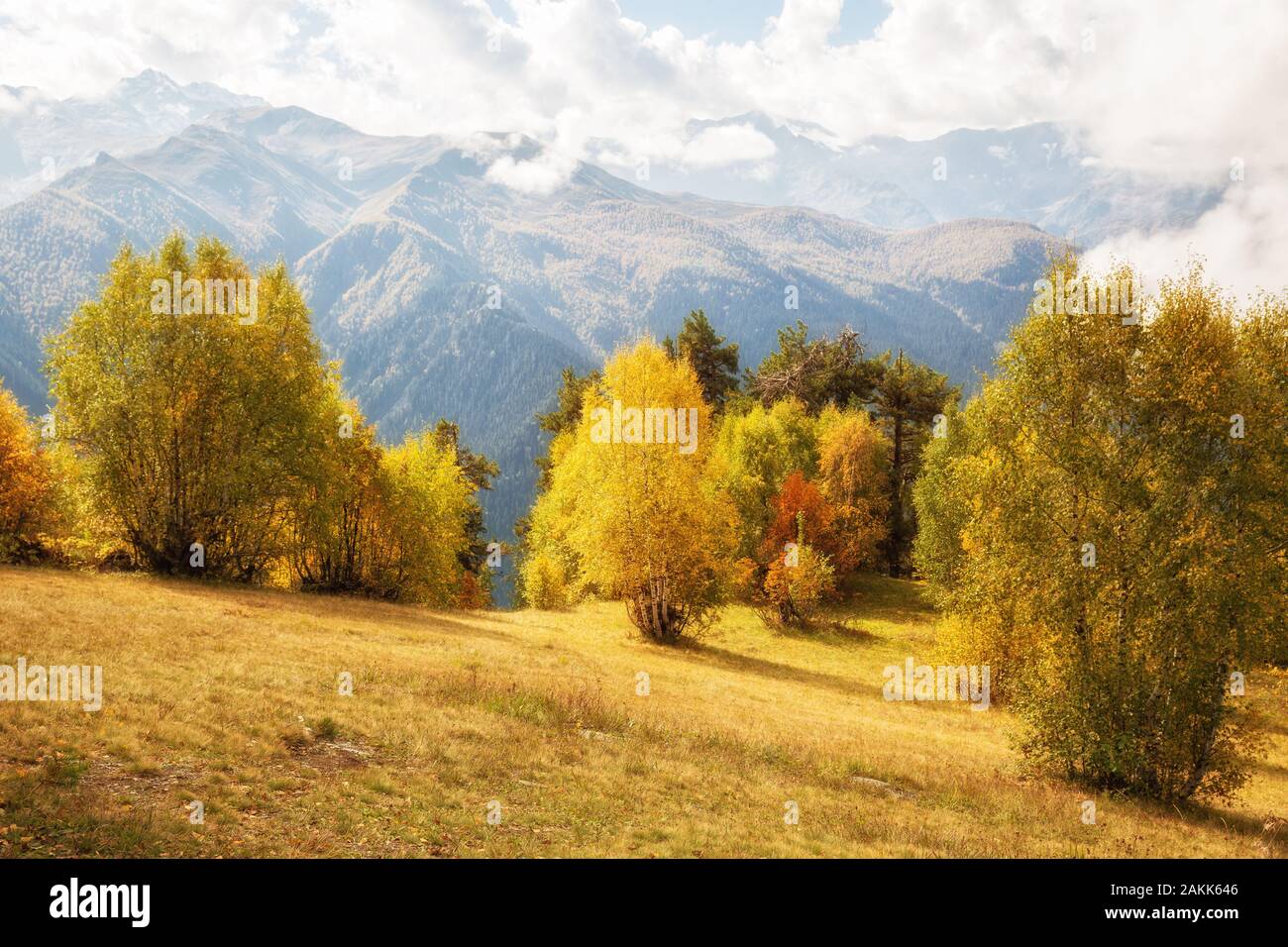L'automne magnifique paysage de montagne. Les arbres à feuilles jaunes éclairées par le soleil dans le contexte de la chaîne de montagnes du Caucase. La Géorgie, Svaneti. Banque D'Images