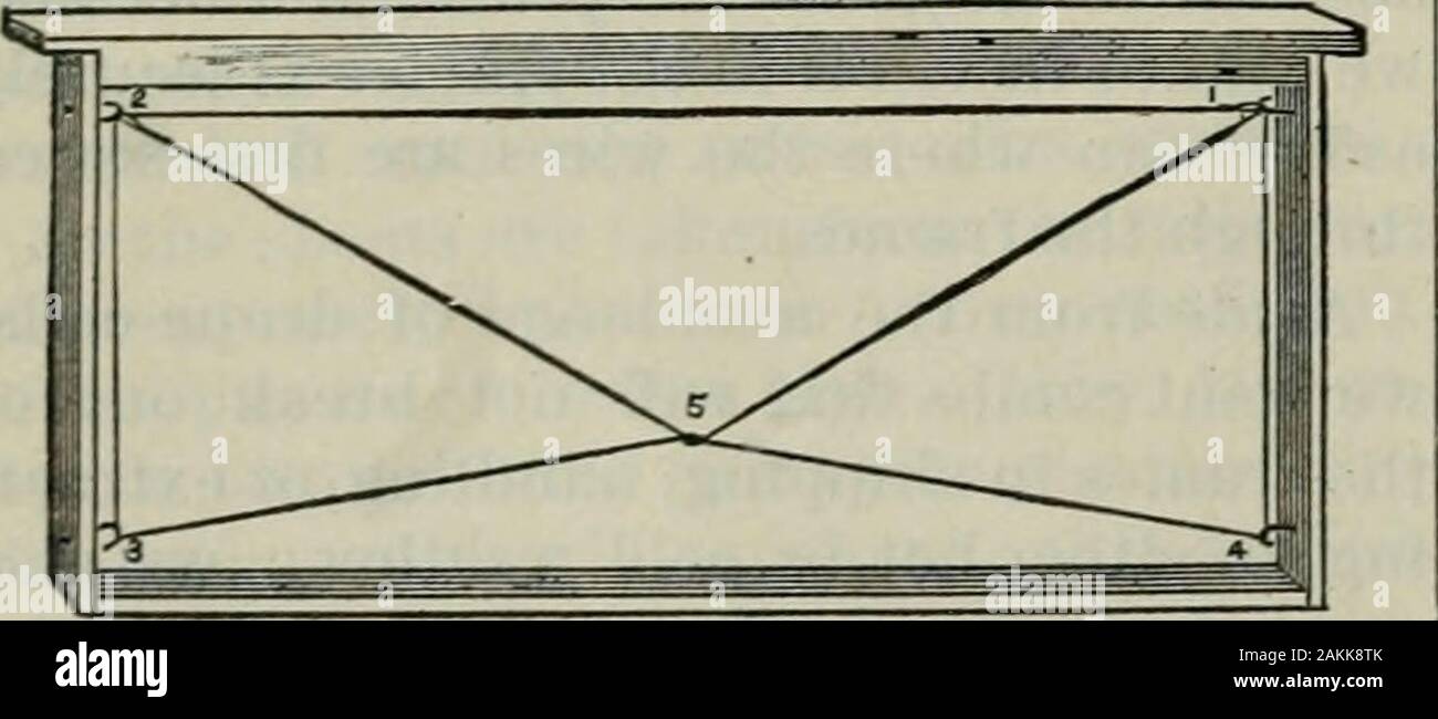 L'ABC de la culture : une abeille cyclopedia de chaque chose se rapportant aux soins de l'abeille de miel, le miel des abeilles ;, urticaire, met en œuvre, miel-plants, etc., de faits tirés de l'expérience de milliers d'apiculteurs partout sur notre terre, et par la suite vérifié par des travaux pratiques dans notre propre rucher . f top-ljars Ijottom ou-bars est nécessaire. AU-pouce d'ongle est entraîné par la fin-bars f de pouce fixnn bottombars^ et haut. Ils sont ensuite l^ent dans la forme d'ahook au moyen d'une pince à bec rond. À dothis rai)bras croisés, chaîne beaucoup d'images plus anarrow conseil, de sorte que l'extrémité-bars résidera incontact Banque D'Images