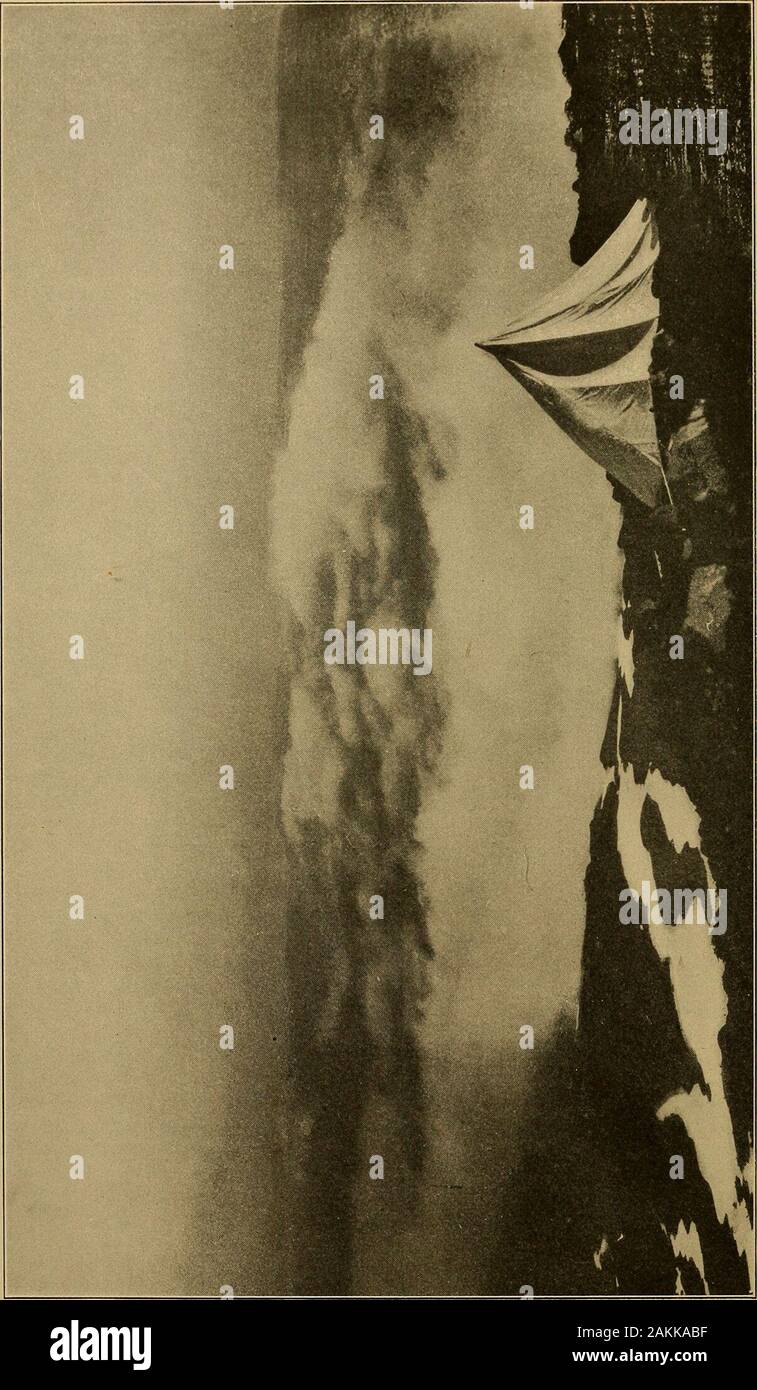 Sortie Le Soir Que Signifie Etre Drole Je Vais Dormir Cette Nuit Exactlyas Une Espece Peut Vol Face A Une Flamme Mais La Gale M A Fouille De Propre Service Ful Reves Dieu Merci