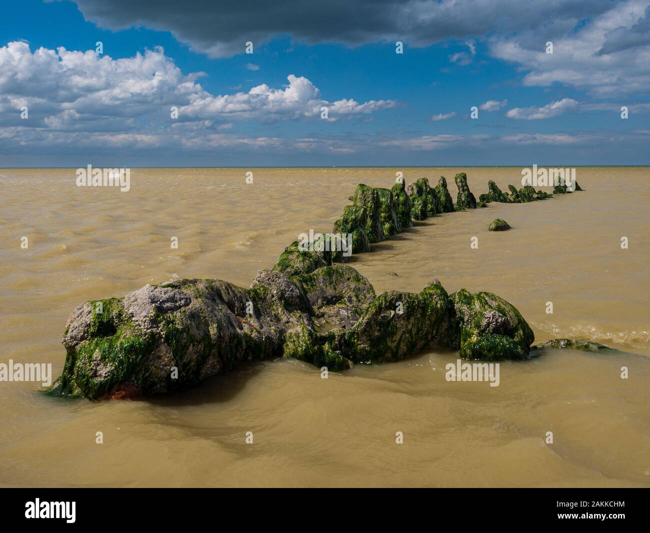 Les restes d'algues couvertes d'un naufrage d'un navire de guerre mondiale à une plage dans le nord de la France Banque D'Images