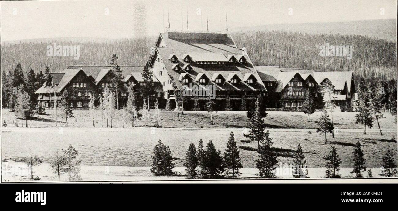 Les parcs nationaux du portefeuille . Copyright par Gifford Jeunes Pélicans sur l'île de Molly dans Yellowstone Yellowstone LakeThe pélicans sont très grandes et le blanc pur, un pittoresque du parc. Photo de J. E. Haynes, St. Paul Old Faithful Inn Banque D'Images