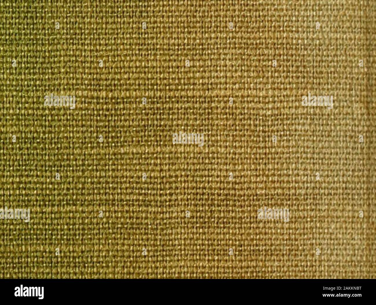 Cyclopedia of American horticulture, comprenant des suggestions pour la culture de plantes horticoles, les descriptions des espèces de fruits, légumes, fleurs et plantes ornementales vendues aux États-Unis et au Canada, ainsi que des notes biographiques et géographiques, et d'un synopsis du règne végétal . Banque D'Images