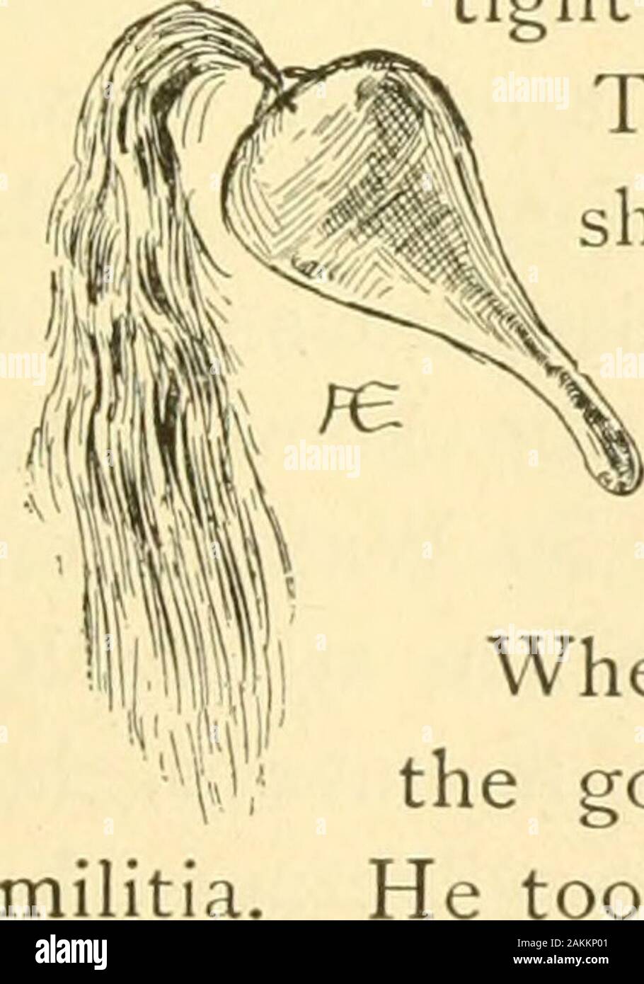 Un premier livre dans l'histoire américaine, avec une référence particulière à la vie et oeuvres de grands Américains . k, gagner- &gt ;.^^ ing de sept à vingt-et-un dol- lars^ , un jour, à un moment où les choses étaient beaucoup moins cher qu'elles ne le sont. L'alimentation de la population dans le woodswas le fiesh de wild turkey et jeu. Tout homme en hisown cuire sa viande, grillage sur aforked stick, et le manger off achip au lieu d'une assiette. Lave-tonne a mené cette vie difficile pour trois ans. C'était un goodschool pour un soldat. Ici aussi, il a fait son premier connaître-ance avec les Indiens. Il a vu qu'une partie d'entre eux à la musique d'une danse Banque D'Images