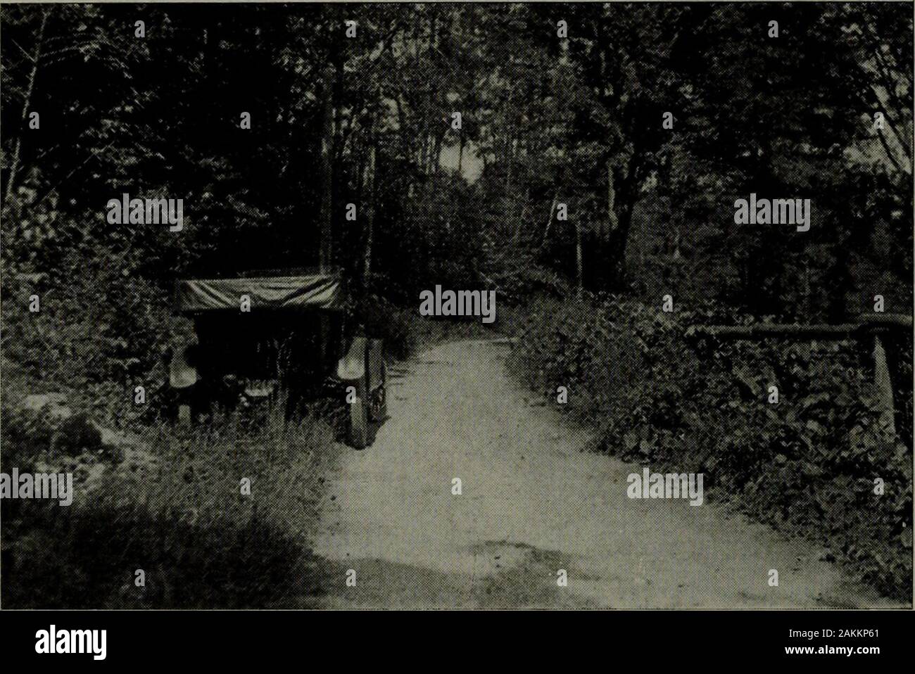 L'Américain de la photographie annuelle . possible dans les conditions que j'ai nommés. Oncestarted dans une automobile, on a généralement tendance à keepagoing, de s'entendre sur la route et de faire un voyage de il andthough, pauses prolongées peuvent être faites de temps à autre, ils offrent sur-pryingly quelques opportunités pour l'automobiliste pour amateur getout son appareil photo et flâner à la recherche d'une belle vue.L'amateur est devenu pour le moment une combinaison de 225 hôte, chauffeur et mécanicien d'automobiles, et qui provesquite assez pour prendre son attention. Donc après un moment on vient de se rendre compte qu'un artic Banque D'Images