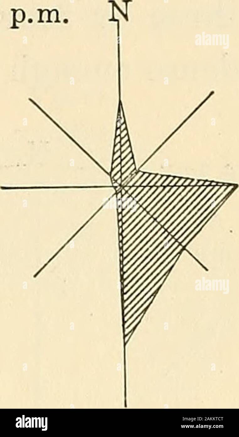 Les Andes du sud du Pérou, le long de la reconnaissance géographique soixante-troisième méridien . 20 h Fig. 87-roses des vents pour La joya de la période d'avril 1892, à décembre, le 1895.Compare indraft forte après-midi par le sud avec le même phenomenonat Mollendo, fig. 79. Chiffres tirés de données en météorologie péruvienne, 1892-1895 à Prague, Annales de l'Observatoire astronomique du Harvard College, 39, pt. 2, Cambridge, Mass., 1906. Expédition péruvienne de 1912-1913. Ils se rapportent à l'periodJanuary à Mars, 1913. Roses des vents pour ces derniers mois montrent la lumière thecharacteristic les vents du nord-ouest de l'oreille Banque D'Images