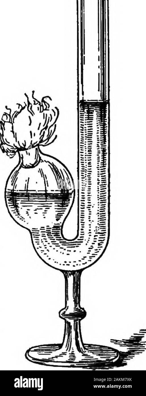 Bactériologie laitière pratique, prête à l'usage des étudiants, producteurs, et tous les intéressés par les problèmes de la relation du lait pour la santé publique . Le caillage, therapidity du caillage variant dans différentes spécimens. Le caillé qui isproduced diffère beaucoup de celle du premier type de bactéries lactiques. Il est toujours plus ou moins rempli d'gasbubbles, et lorsque l'on prend soin de l'ob-tain un caillé typique, il semble, comme shownin la figure 18, un holeswhich, encombrée de représenter les bulles d'gasformed par l'organisme. Le wheycommonly se sépare en un court laps de temps, et le caillé de la fina Banque D'Images