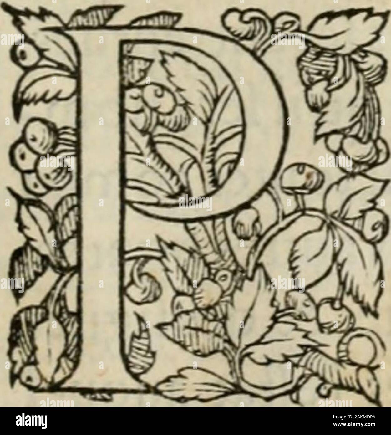 La geomance Seigneur dv de Christofe Cattan, gentilhomme GeneuoysLiure recreatifAuec non moins plaisant & la roüe de Pythagore . e guerre. Mauuaïfes. * * * * *||* * ; * | -K * * * 1 * * *l* ** * *|* *[ * | * | * * * * * -N fi** |||)** * * * * * Bonnes DE. C. DE CATTAN, LIVRE ï ï il BonesfizurespmryncobatJtgnifiï^iSioire IGF. Mtouaifes. Moyene^* * | * | * * *] J| * * * * * | j j * *** * ** JE il * -k i * * I * 11**1**1 * * * I -k * Ftgures qui pour âonotent,U certains pluye wiw ^ peu de durée. * * * M j -K* * * * ** * J -k -k Chiffres J'qmjignifient mauvaiscommencement bonne fortune ; £9* bonne fin Banque D'Images