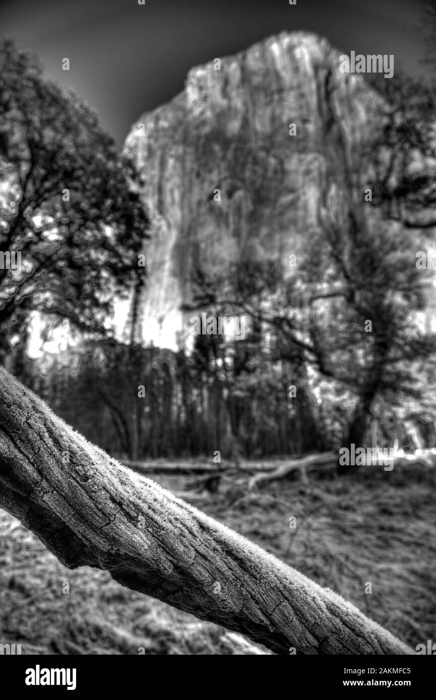 Vue sur El Capitan dans le parc Yosemite Banque D'Images