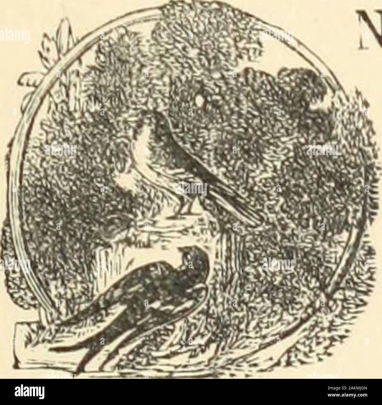 La chute de Jérusalem et de la conquête romaine de la Judée . NE des la plupart des épisodes d'agitation m thehistory du monde est fourni par thesiege Romansunder de Jérusalem par Titus, le sa capture, et de construction. Non seulement elle ourattention commande de la bravoure affichée par les assiégeants, etla résolution désespérée de l'assiégé ; du nombre-unités d'incidents pathétique qui a marqué le cours de l'greatstruggle, et qui ont été enregistrées avec pour mucheloquence par Josèphe ; mais nous sommes impressionnés par la chute d'^ factthat la ville sainte était l'accomplissement des prophéties, distincte de l'OOF Banque D'Images