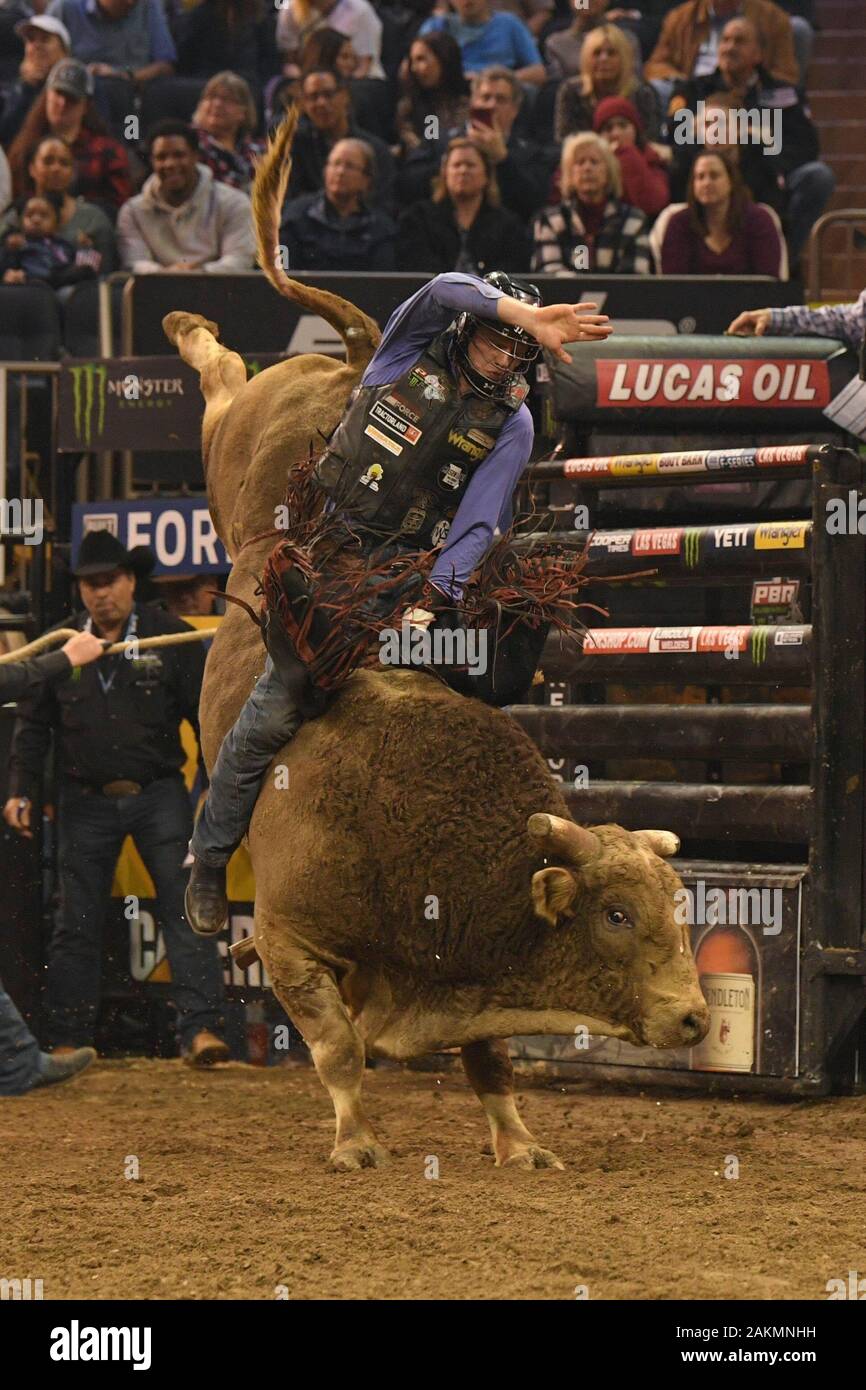 NEW YORK, NY - 04 janvier : Brock Radford rides vivant grand lors de la Professional Bull Riders de la saison 2020 au Madison Square Garden le 1 Banque D'Images