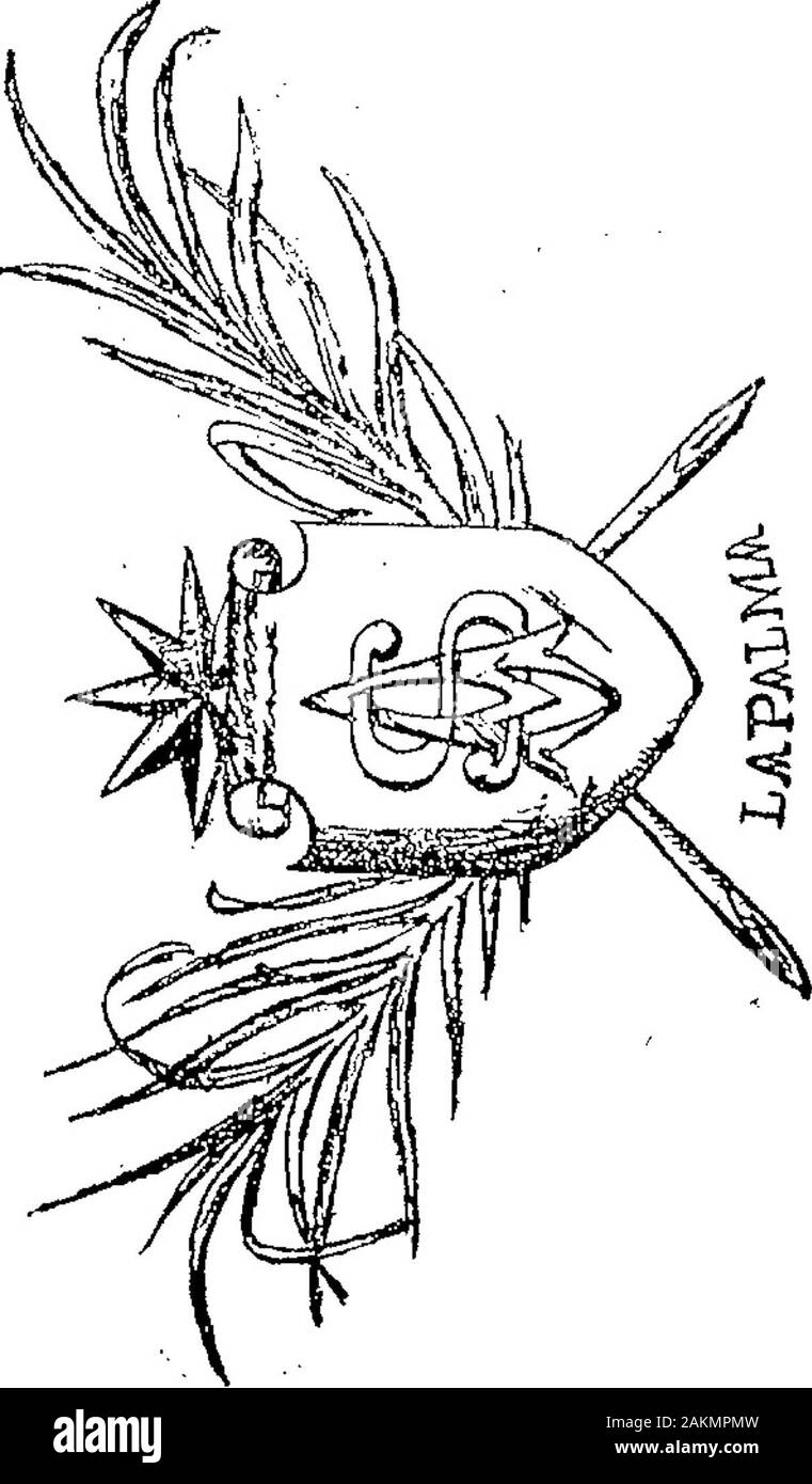 Boletin Oficial De La Republica Argentina1904 1ra Seccion Jucejoiss De 1904 Juan Abal E Hijo Distinguir Cigarrillos Electronicos Y Papel Para Fumar Ijogr Clasea59 Gt Cangalloj 505 Y 4 Febreio Le Profilage Racial 13 158 E