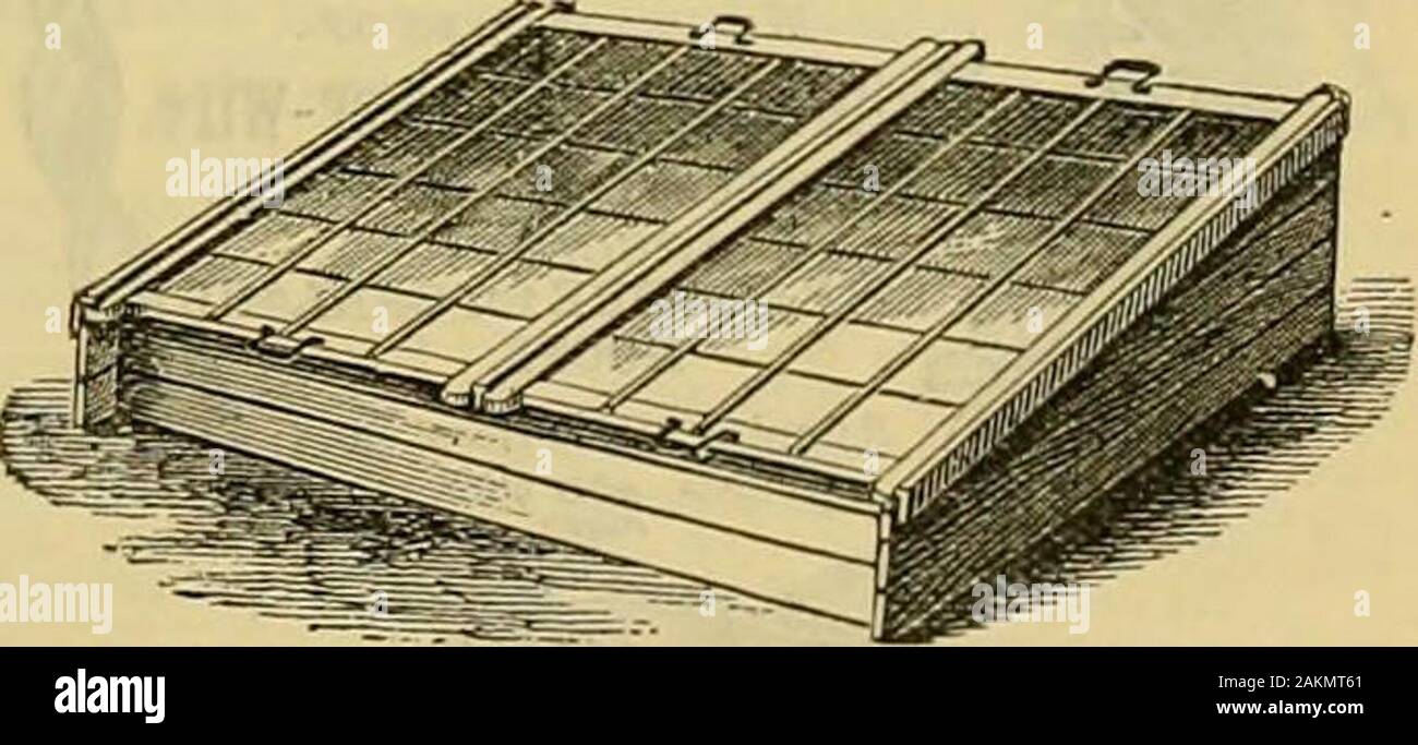 L'Gardeners' chronicle : un journal illustré hebdomadaire de l'horticulture et des sujets . Banque D'Images