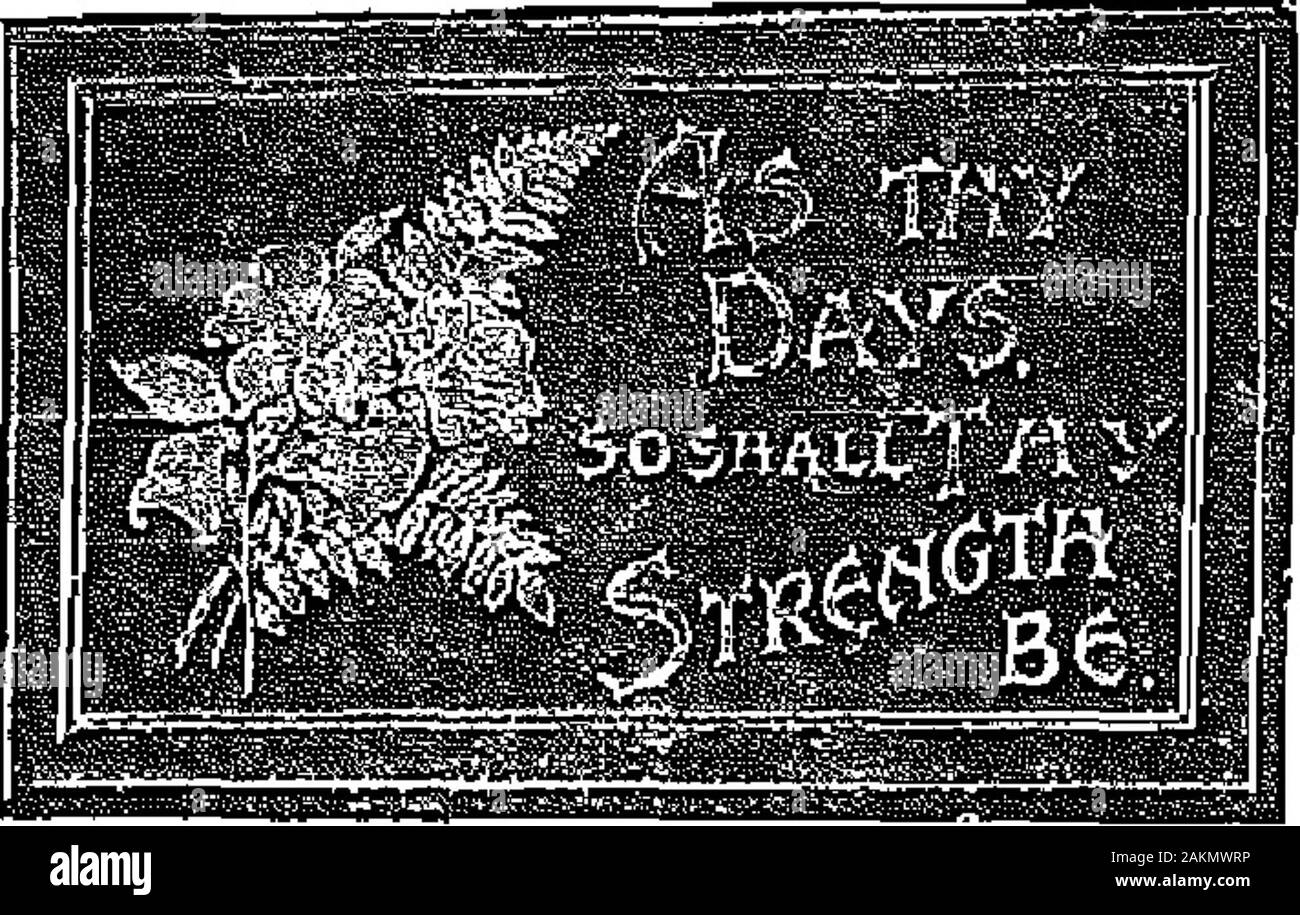 Le cri de guerre . L'Imitation en peluche, en trois couleurs ...