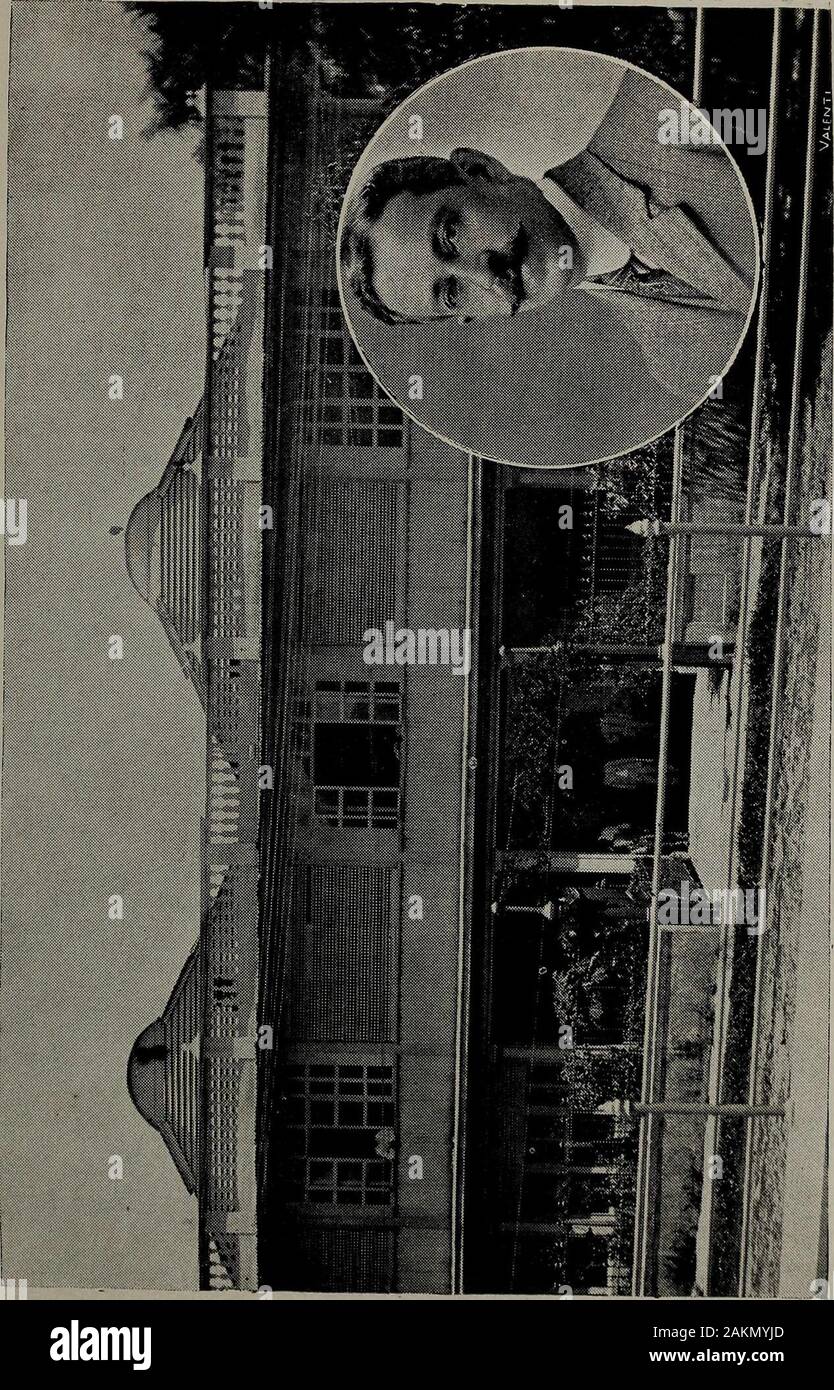 El Salvador al vuelo ; notas, impresiones y perfilesRepublica de El Salvador, Amérique centrale, 1917 . Banque D'Images