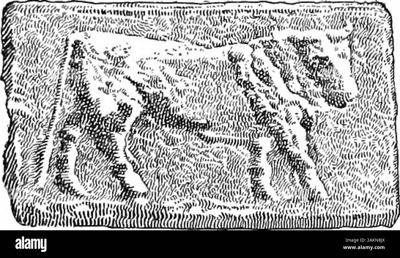 Histoire de l'Europe, ancienne et médiévale : l'homme plus tôt, l'Orient, de la Grèce et de Rome . paysan entendu des dieux étrangers du theGreeks, et il a dit qu'ils étaient les homologues ou theoriginals de ses propres dieux. On lui a dit que Vénus était l'GreekAphrodite, Mercury a Hermes, Ceres a été Demeter, et bientôt. Pour l'époque romaine il y avait un dieu au-dessus de chaque royaume en natureand chaque domaine de la vie : Jupiter était le grand dieu andking-ciel de tous les dieux ; Mars, le patron de tous les guerriers ; Vénus, Reine de l'amour ; Junon, une ancienne déesse céleste, était protectrice de la Méditerranée Occidentale Monde 197 femmes, o Banque D'Images