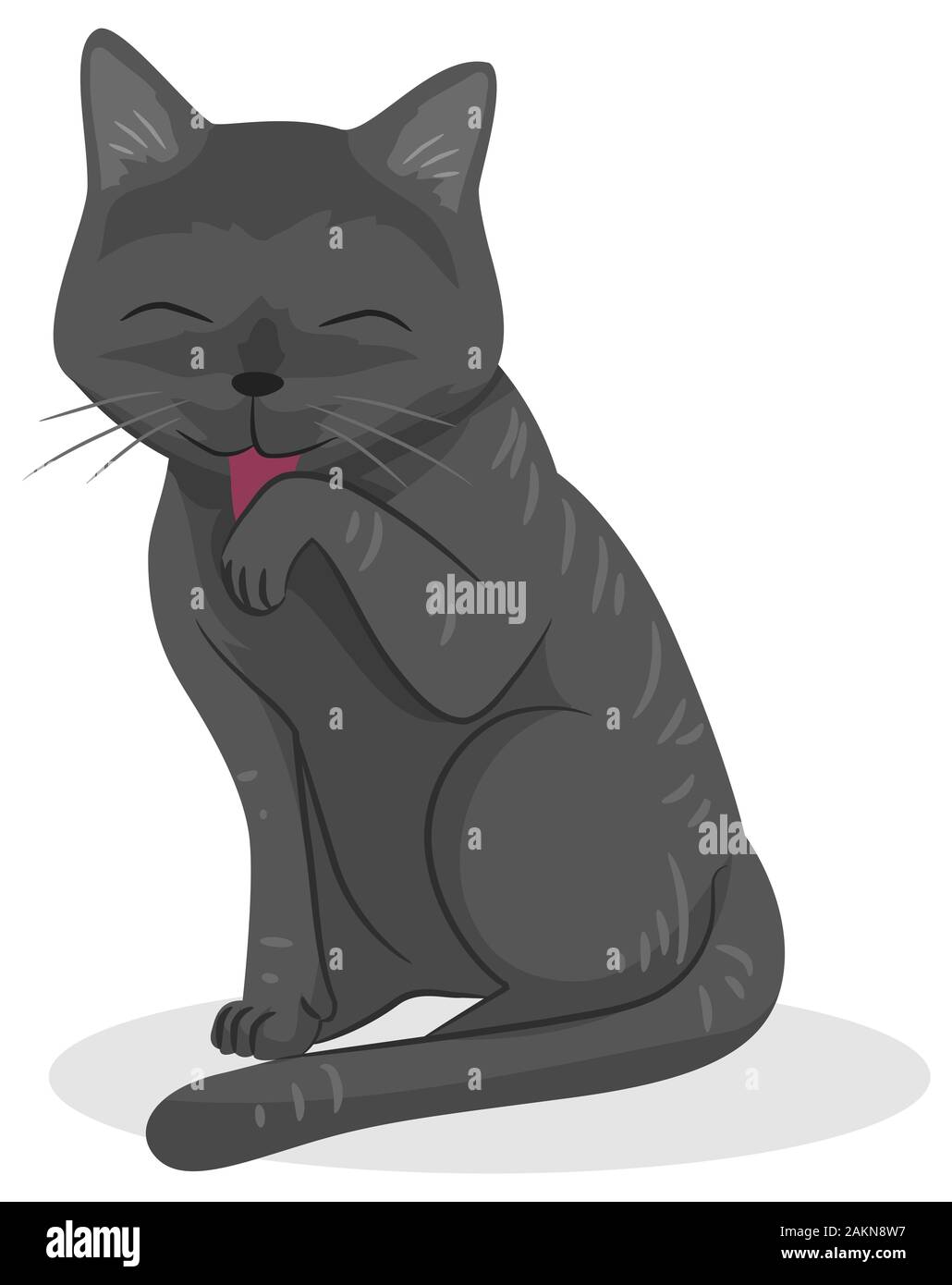 Patte De Chat Qui Leche Banque D Images Detourees Alamy
