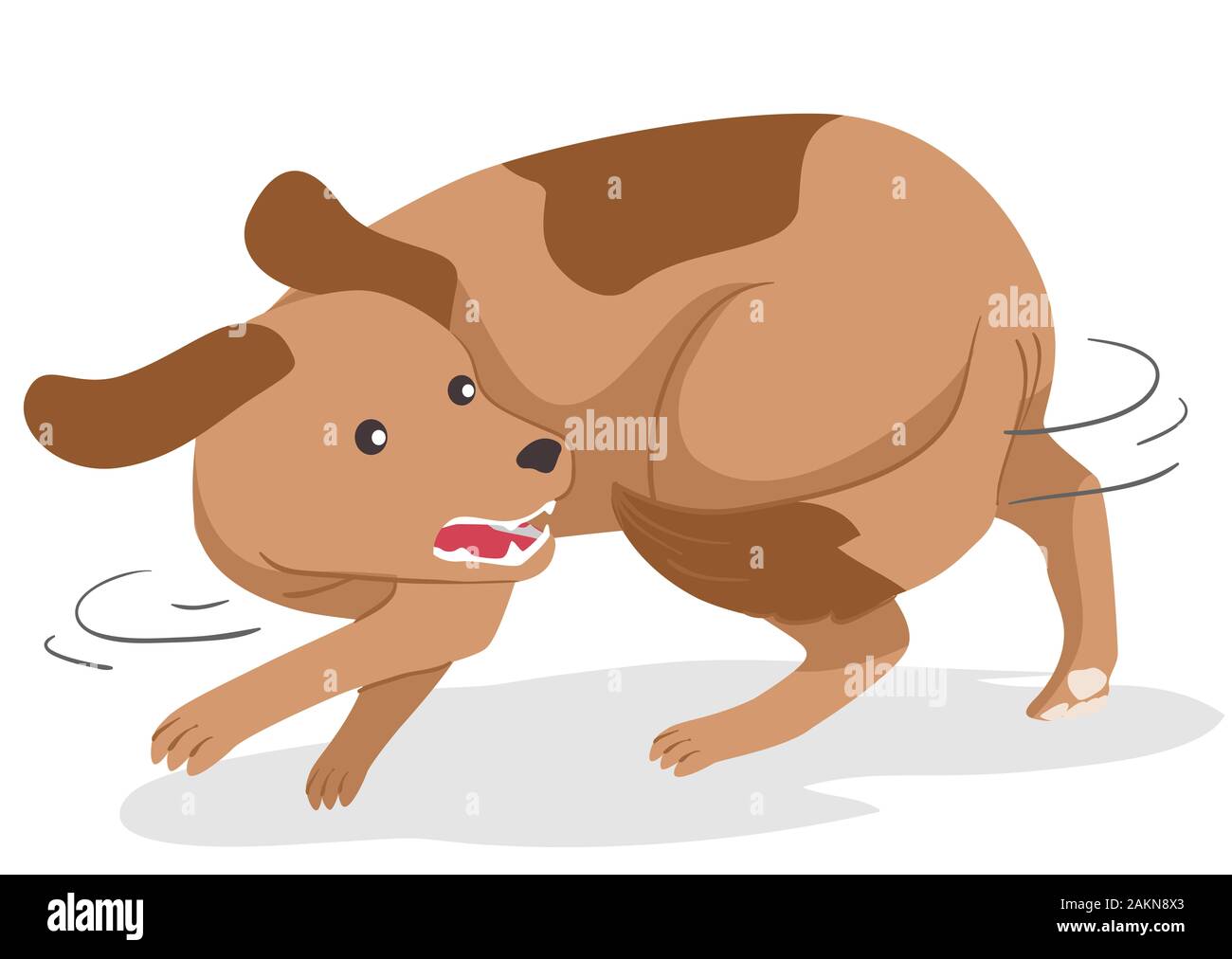 Propre Queue Banque D Image Et Photos Alamy Propre Queue Banque D Image Et Photos Alamy