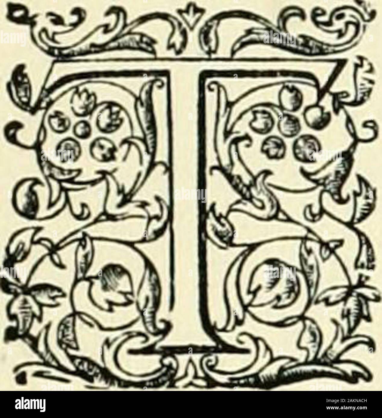 Un calendrier de l'Inner Temple records . INTRODUCTION. Charles IHE Temple intérieur, comme d'autres parties du pays, waswell rédigé pour la restauration de la monarchie.M. Richard Goddard, royaliste, qui avaient été Vol. II, p. 3- telected;trésorier en octobre 1659, est resté en officeuntil l'élection de Sir Heneage Finch, l'kingssolicitor-général, en novembre, 1661. Barristersfavorable à la cause royale ont été mis sur le banc, et serjeants en droit ont été créées. Les membres de notre société qui werequalified ont pris part à la Procession du couronnement, et l'habituel bon*de forêt ont attesté la loyalt Banque D'Images