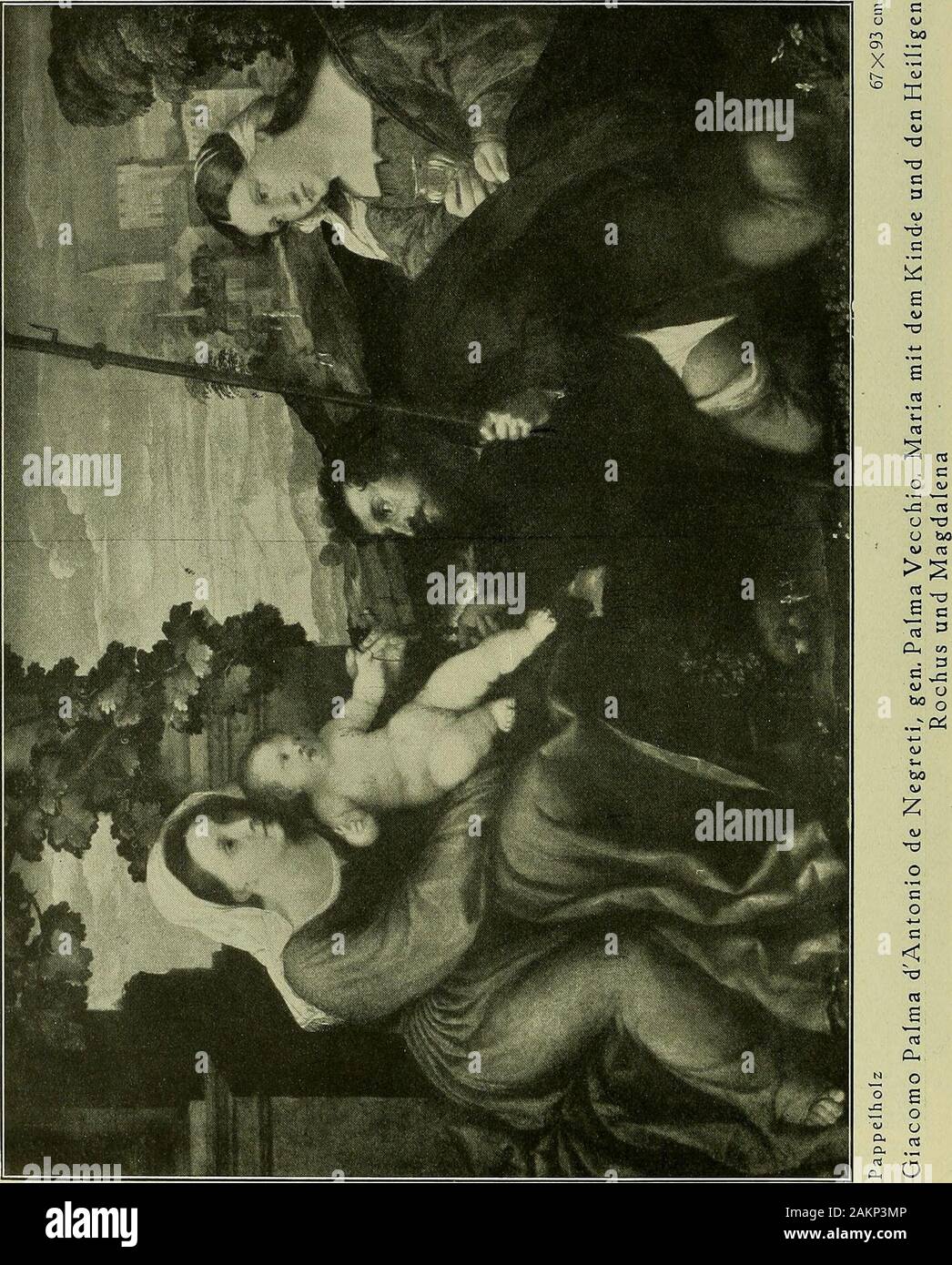 Meisterwerke der Älteren Pinakothek à Munich ... . Pappelholz 70X54 cm Giacomo Palma dAntonio de Negreti, gen. Palma Vecchio. Männliches Bildnis 277. 278 Banque D'Images