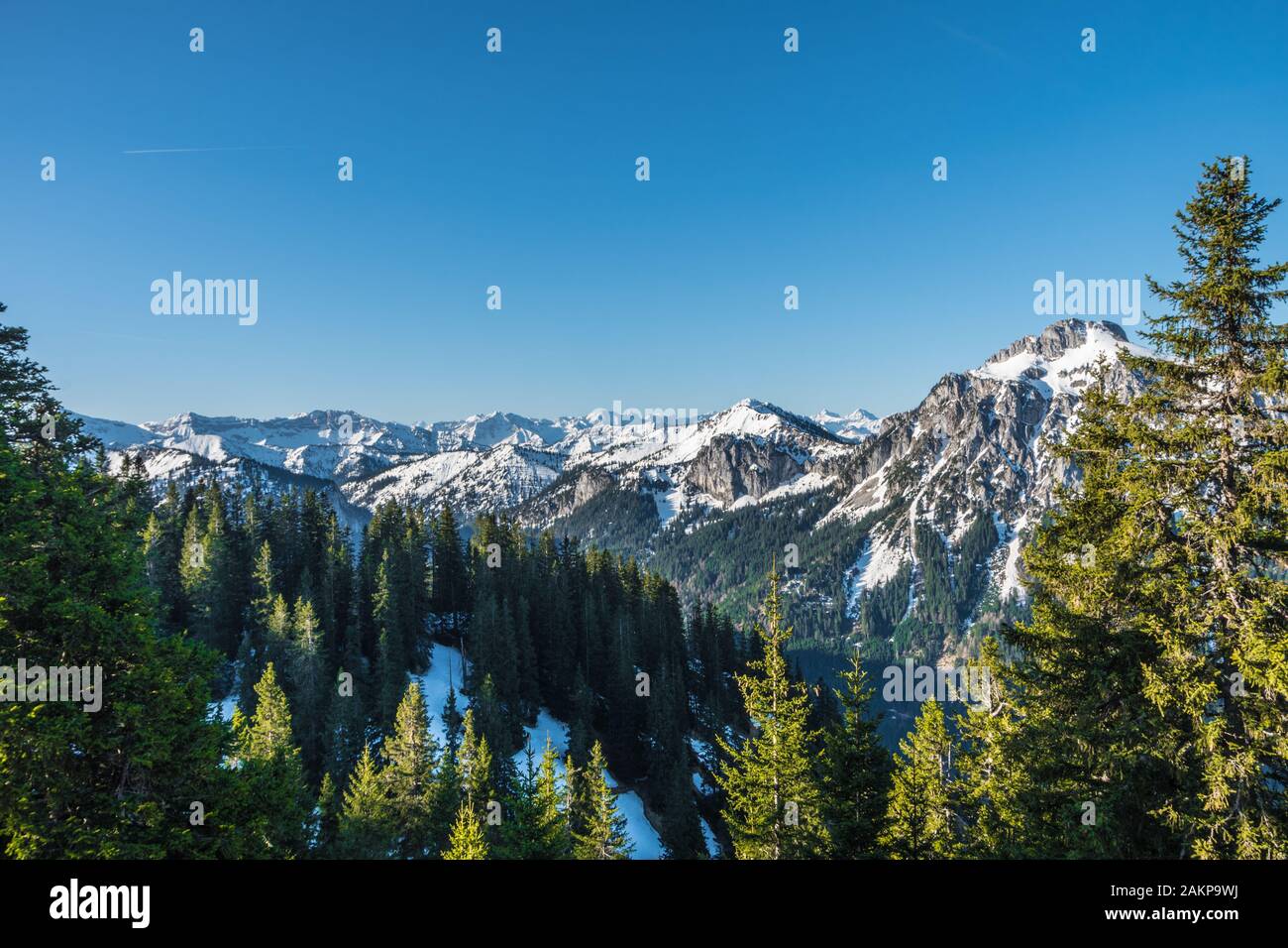 Belle vue sur les montagnes avec neige et arbres Banque D'Images