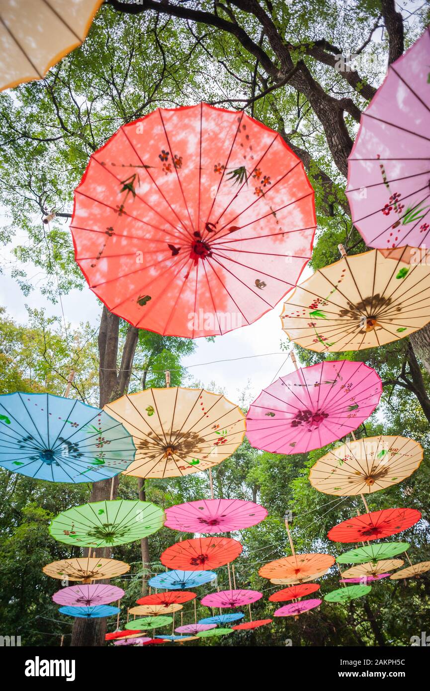 Chinois traditionnel des parasols multicolores pendus sur les arbres low angle view dans Guilin, province du Guangxi, Chine Banque D'Images