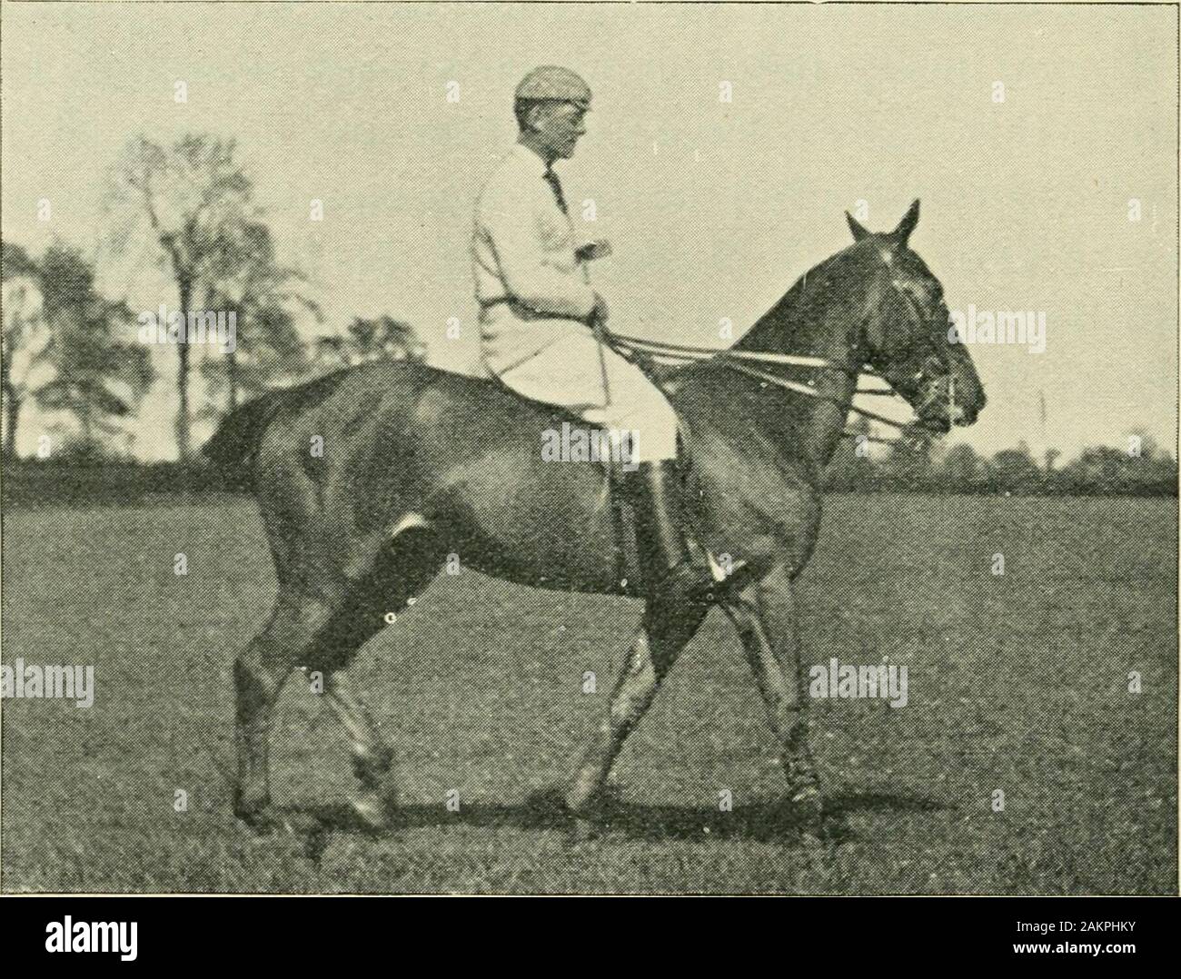 Polo moderne . Les Scots Greys ; Montmorency, V.C.,des 21 lancers ; Charles Cavendish, du 17thLancers ; le Lieutenant-colonel Vandeleur, D.S.O. une mostdistinguished jeune soldat ; Bellew, de l'i6thLancers ; capitaine Legge, D.S.O., du 20thHussars, et Lloyd, Eyre des Coldstreams whowas, bien connu à Buenos Aires pendant de nombreuses années. POLO 296 DANS L'armée. [Chap. XII. La liste ci-dessus n'est en aucun cas comprend tous les Poloplayers qui se sont distinguées dans thiscampaign. Il doit y avoir des dizaines d'autres, especi-allié dans l'infanterie et l'Artillerie royale, rapports fait la plupart de leurs polo à l'étranger. J'h Banque D'Images