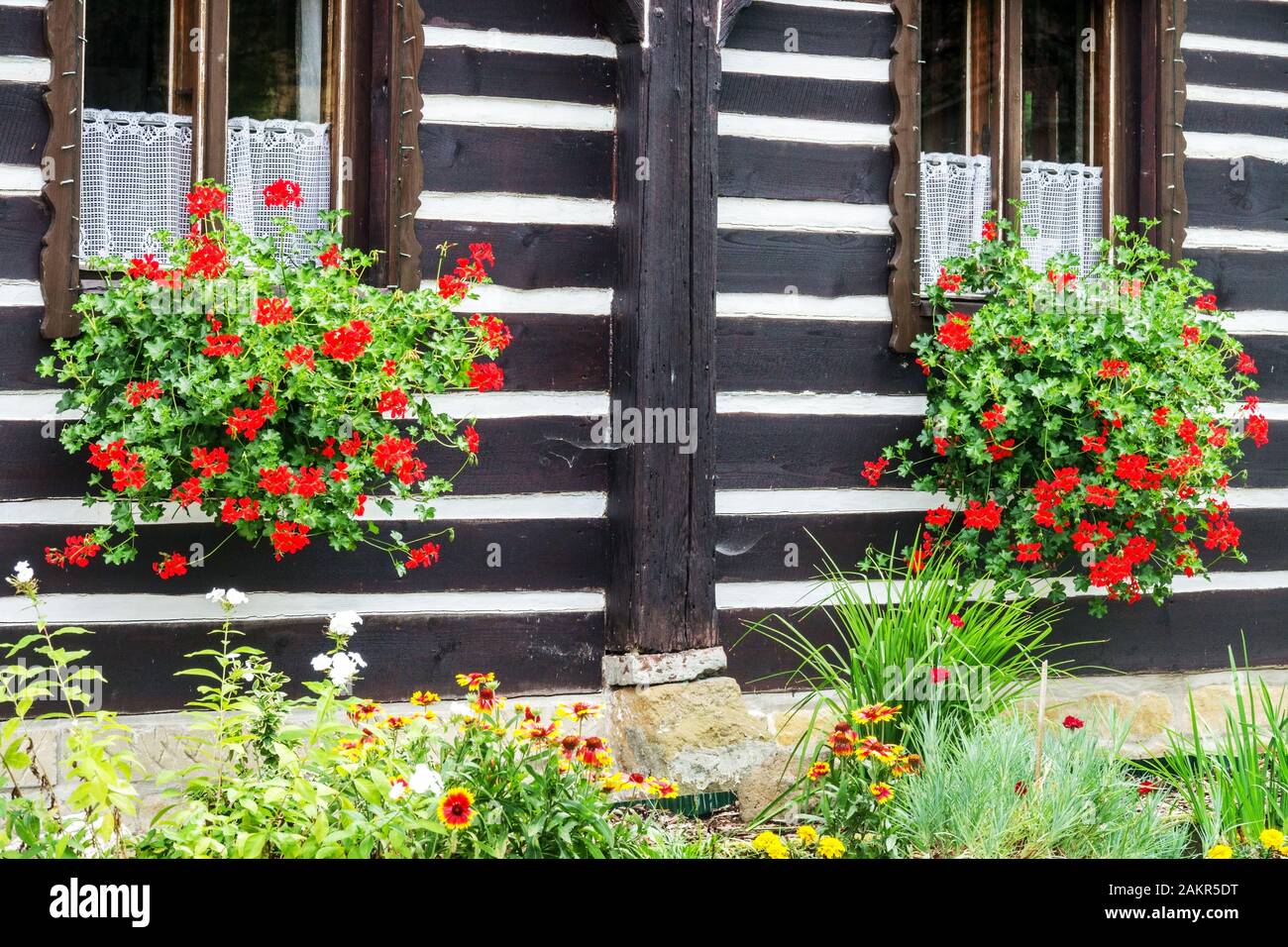 Pelargonium gîte Bohême du Nord Banque D'Images