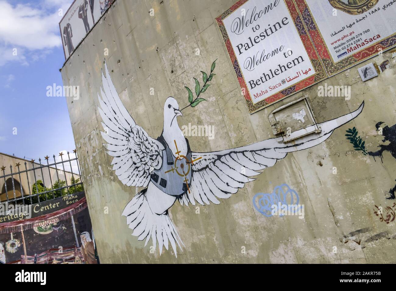 Cisjordanie Graffiti colombe de la paix portant gilet pare balle Photo  Stock - Alamy